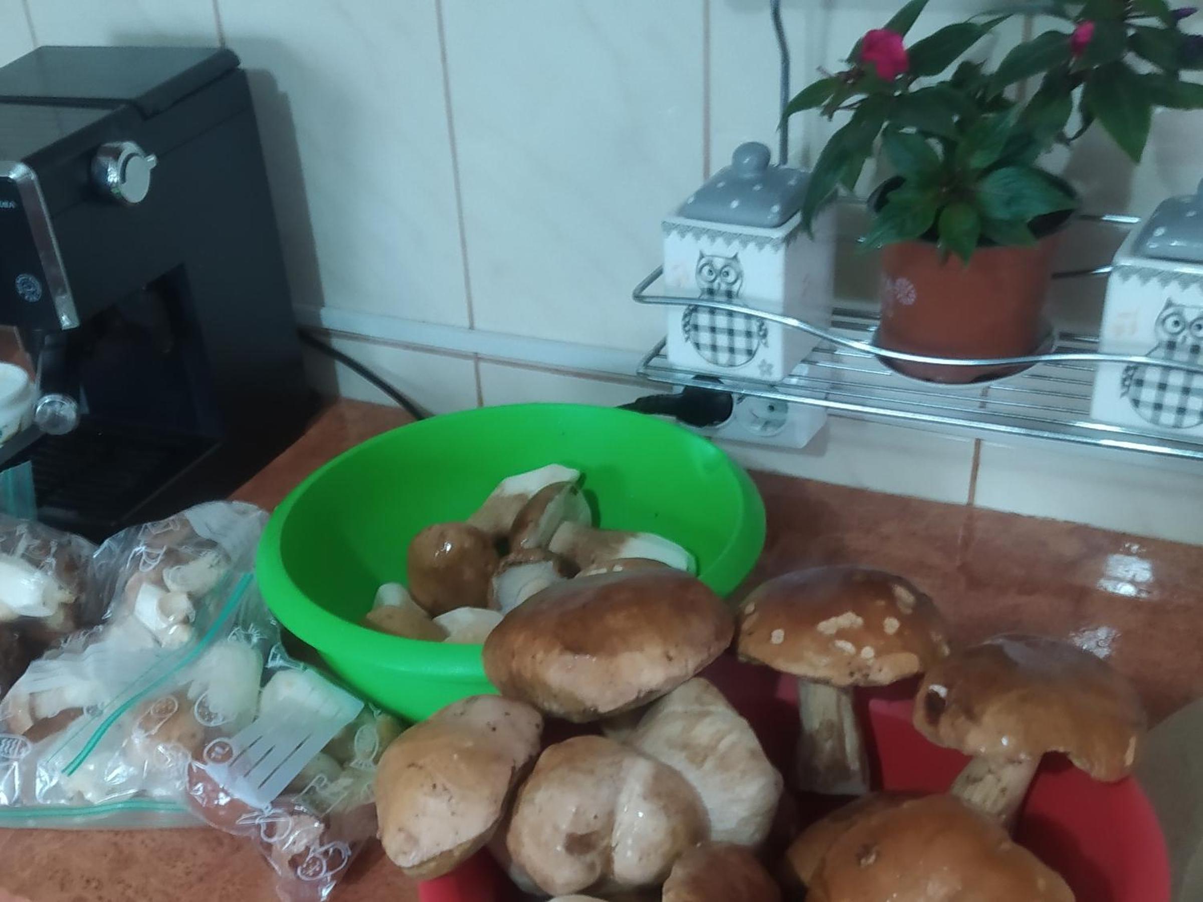 Photo 13