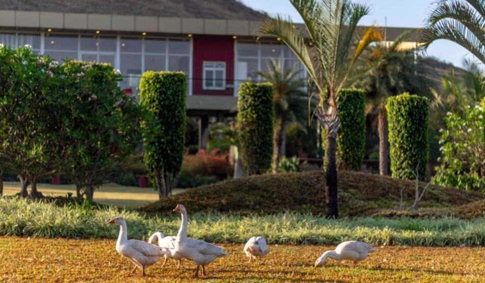 NATURE ELEMENTS NASHIK view 2