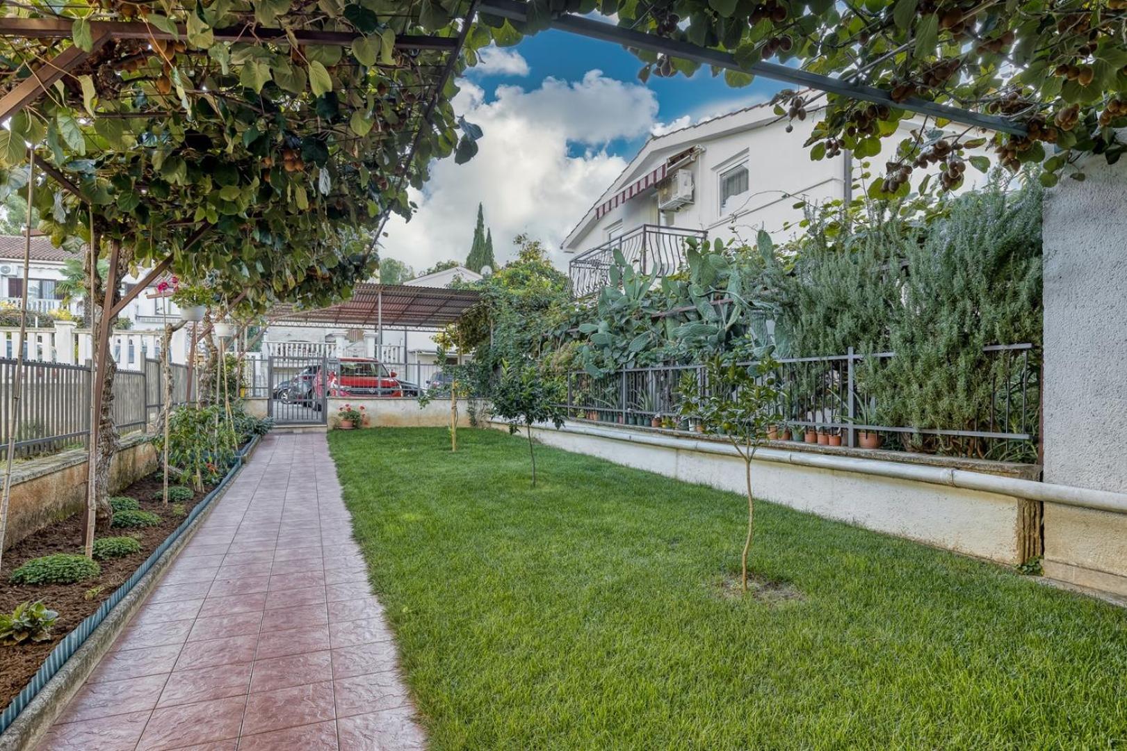 Apartment Lucijan