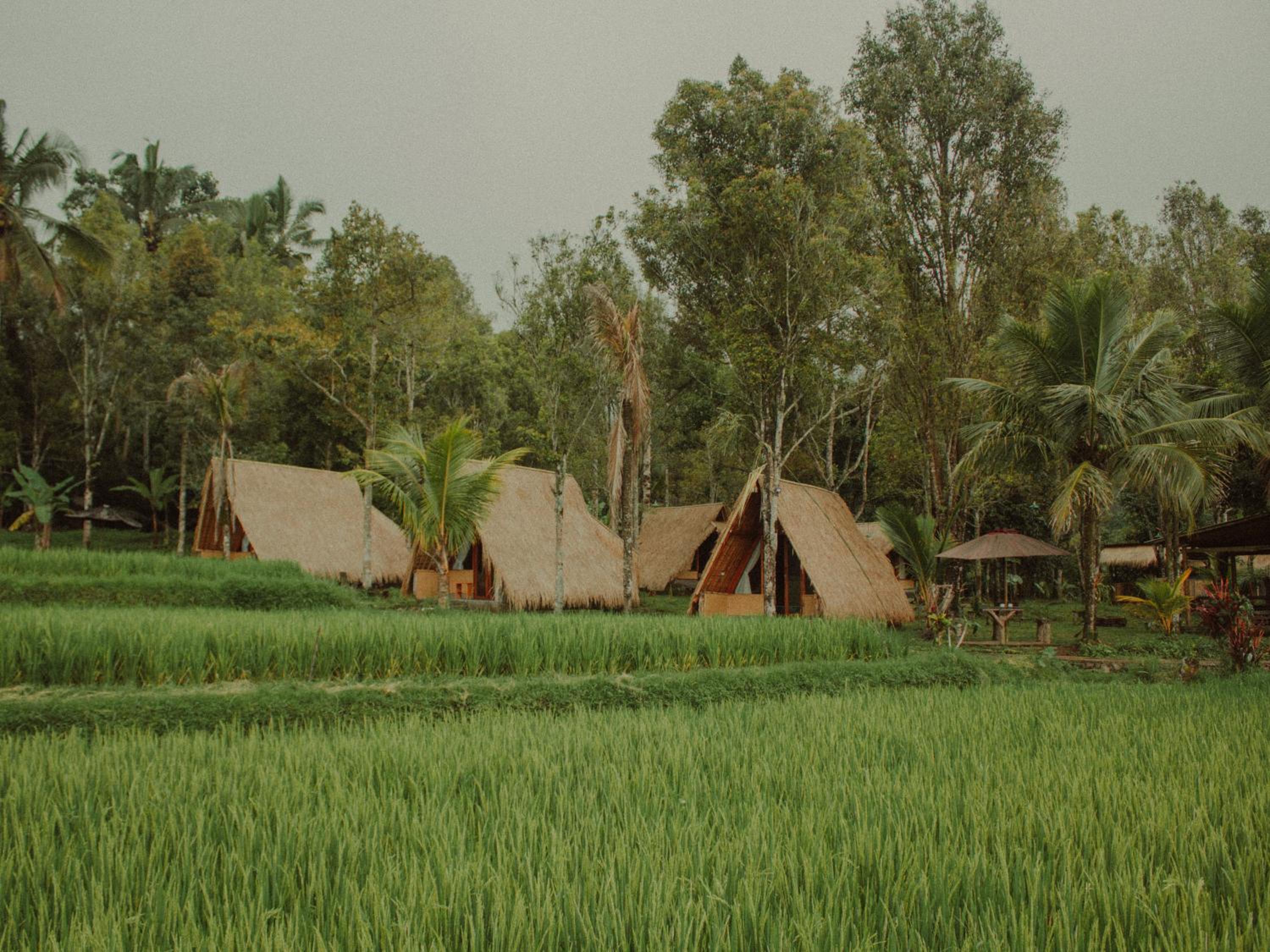 Da'kayu Glamping view 2