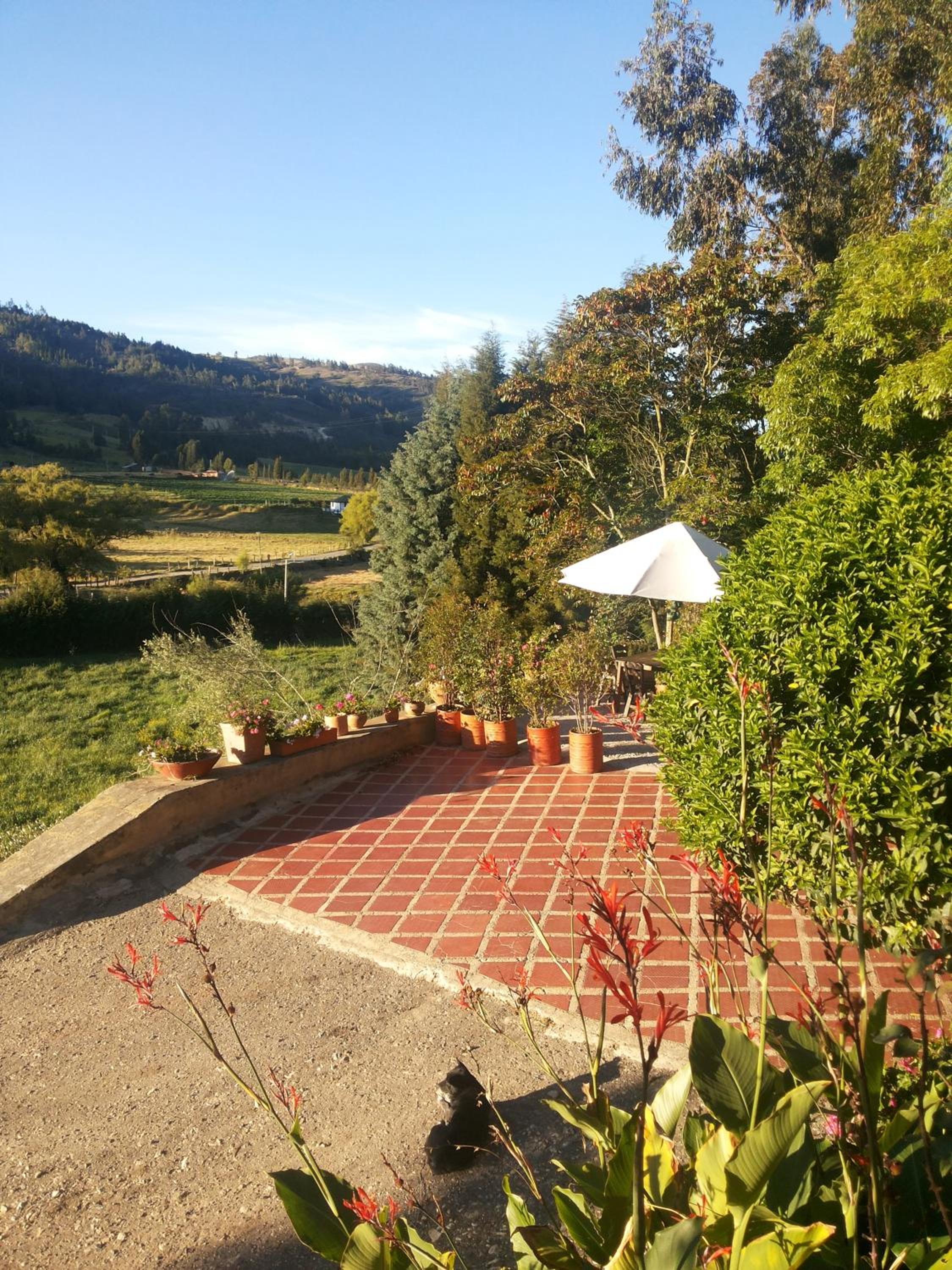 Photo 16