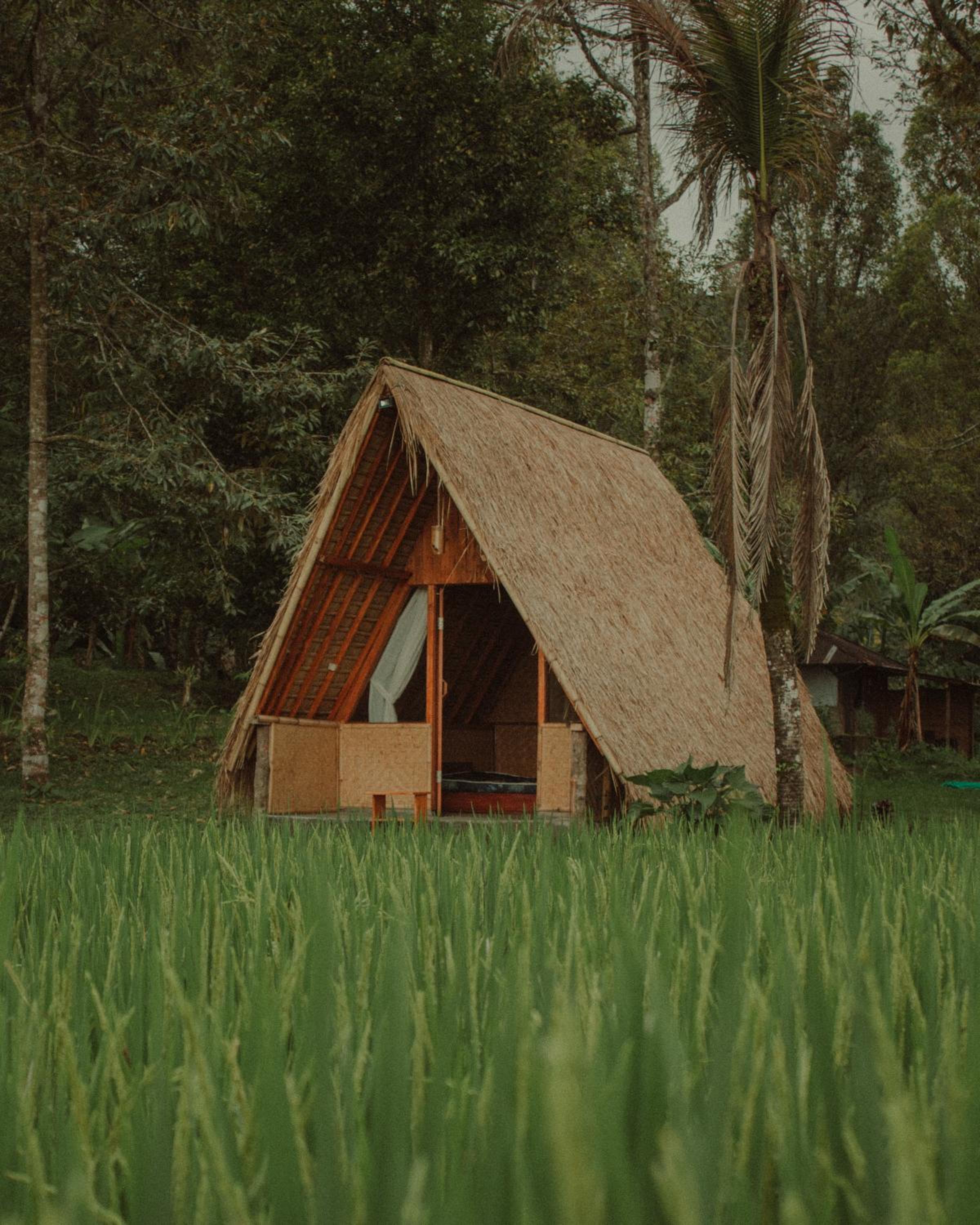 Da'kayu Glamping view 5