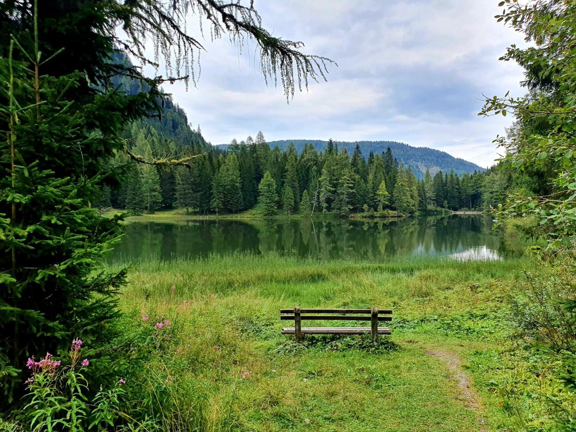 Almhaus Kärnten Flattnitz