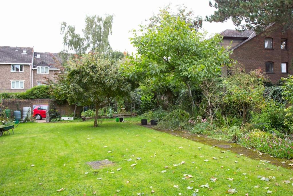 Bright Oxford Apartment view 4