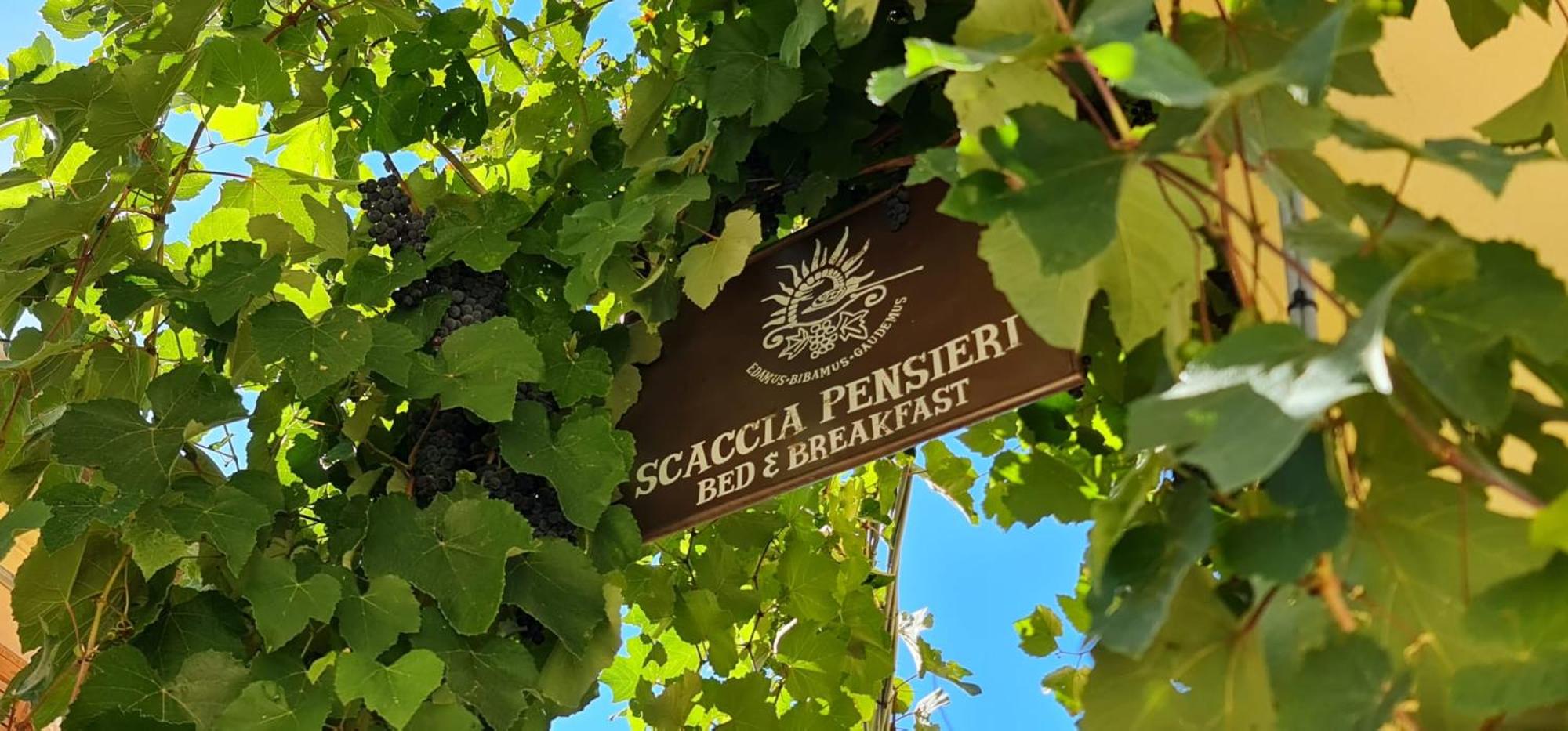 Scaccia pensieri