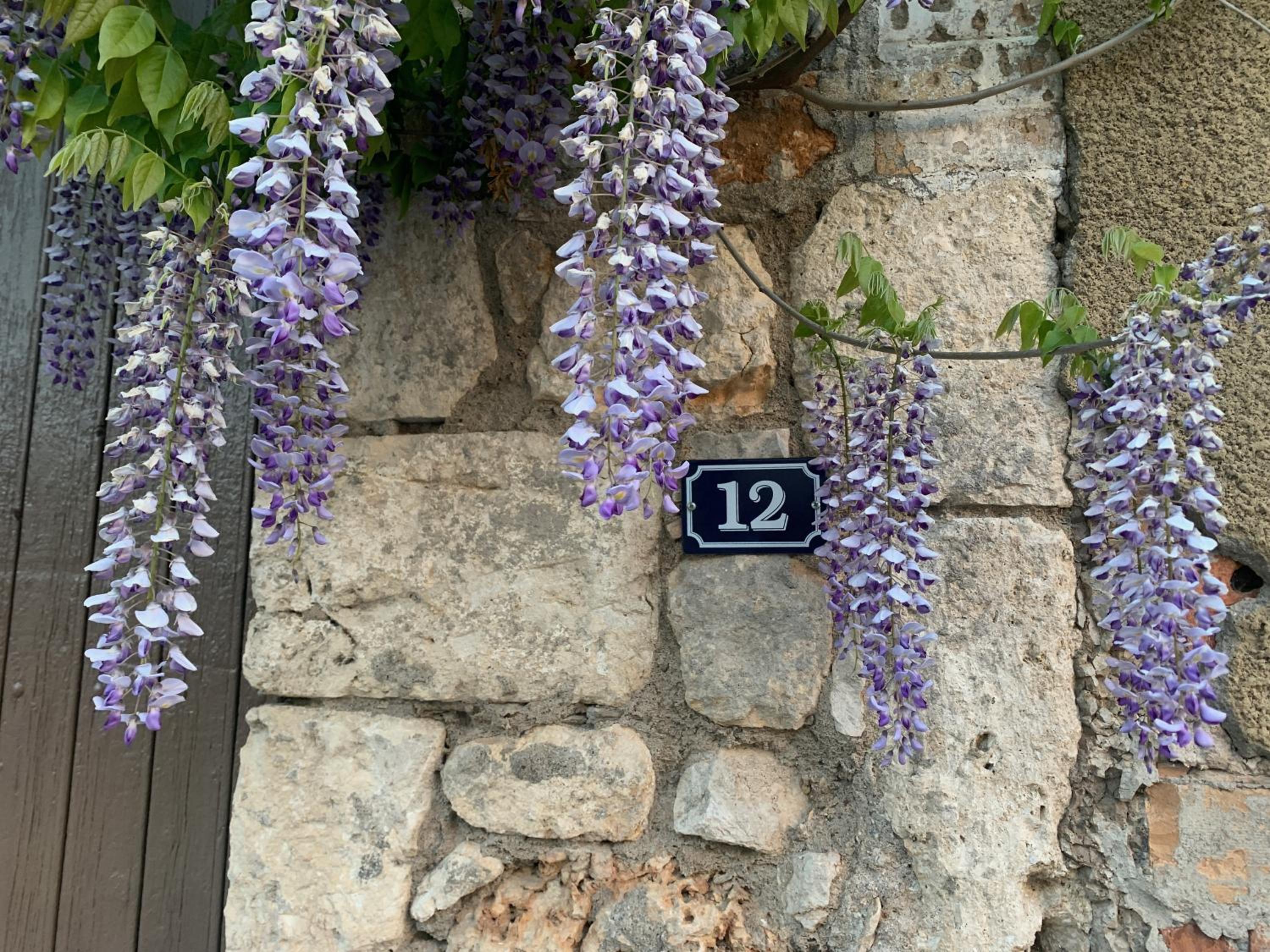 Photo 23