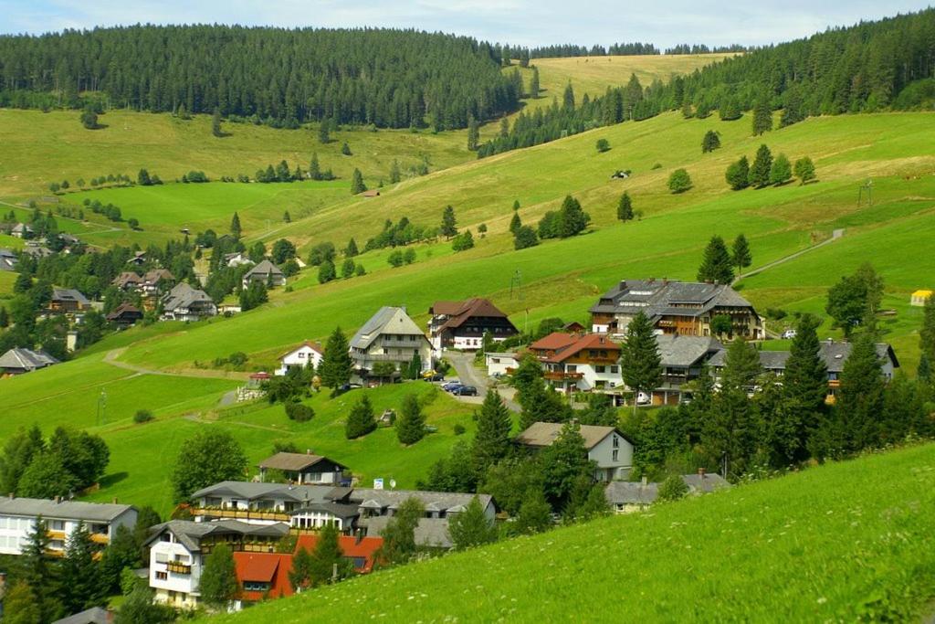 Gästehaus Weilerhof - Apartments view 5