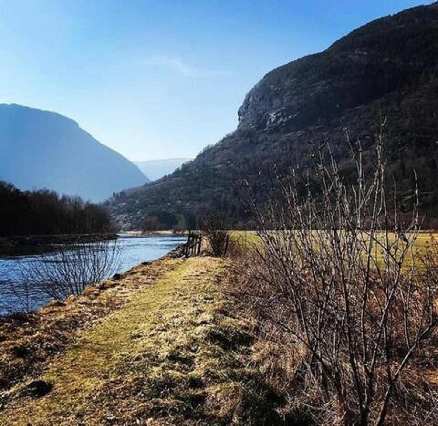 Hillegård