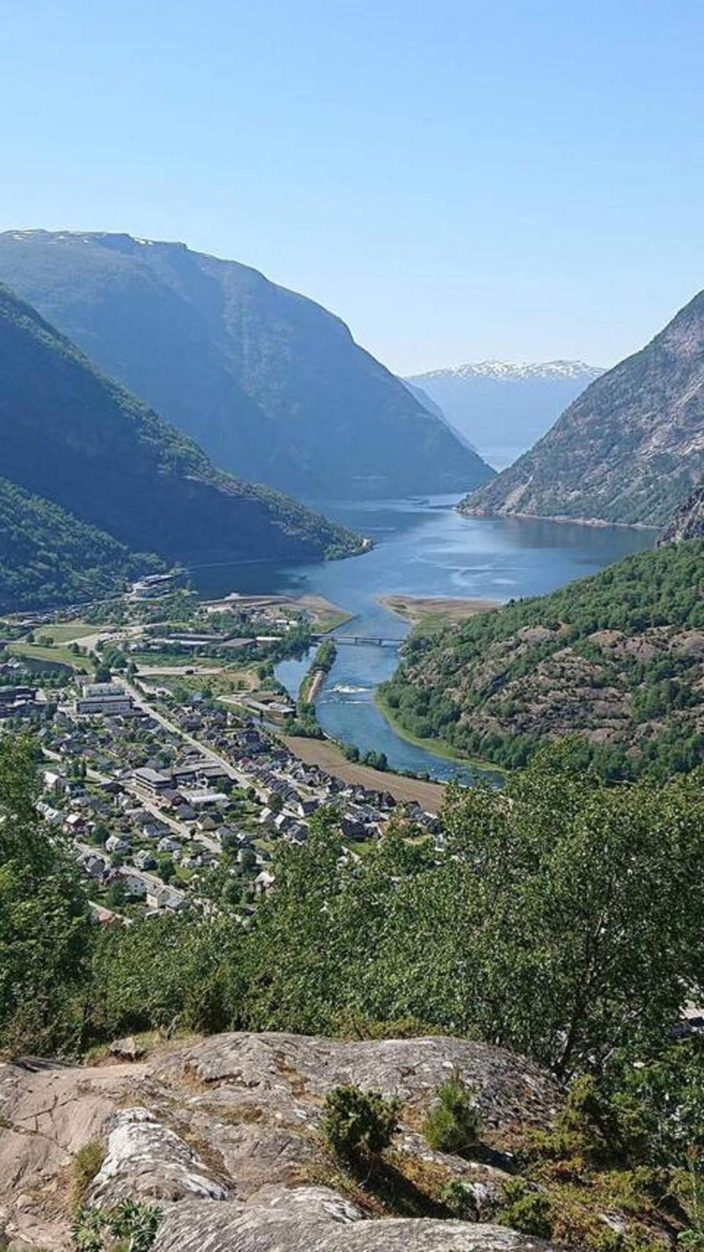 Hillegård