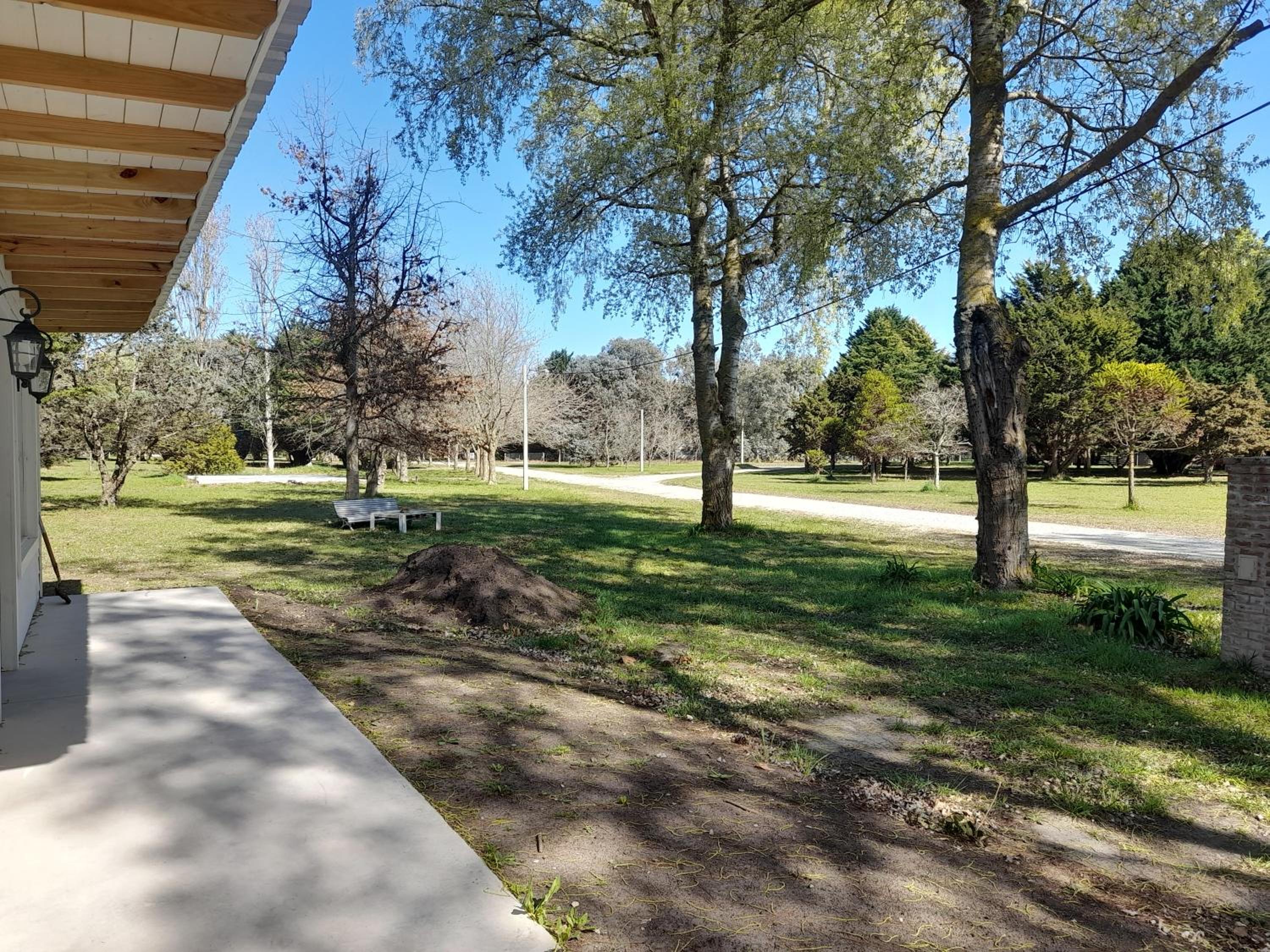 Los pinares