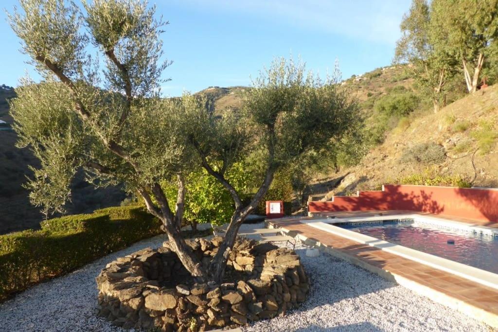 La Casona Mediterránea with private pool