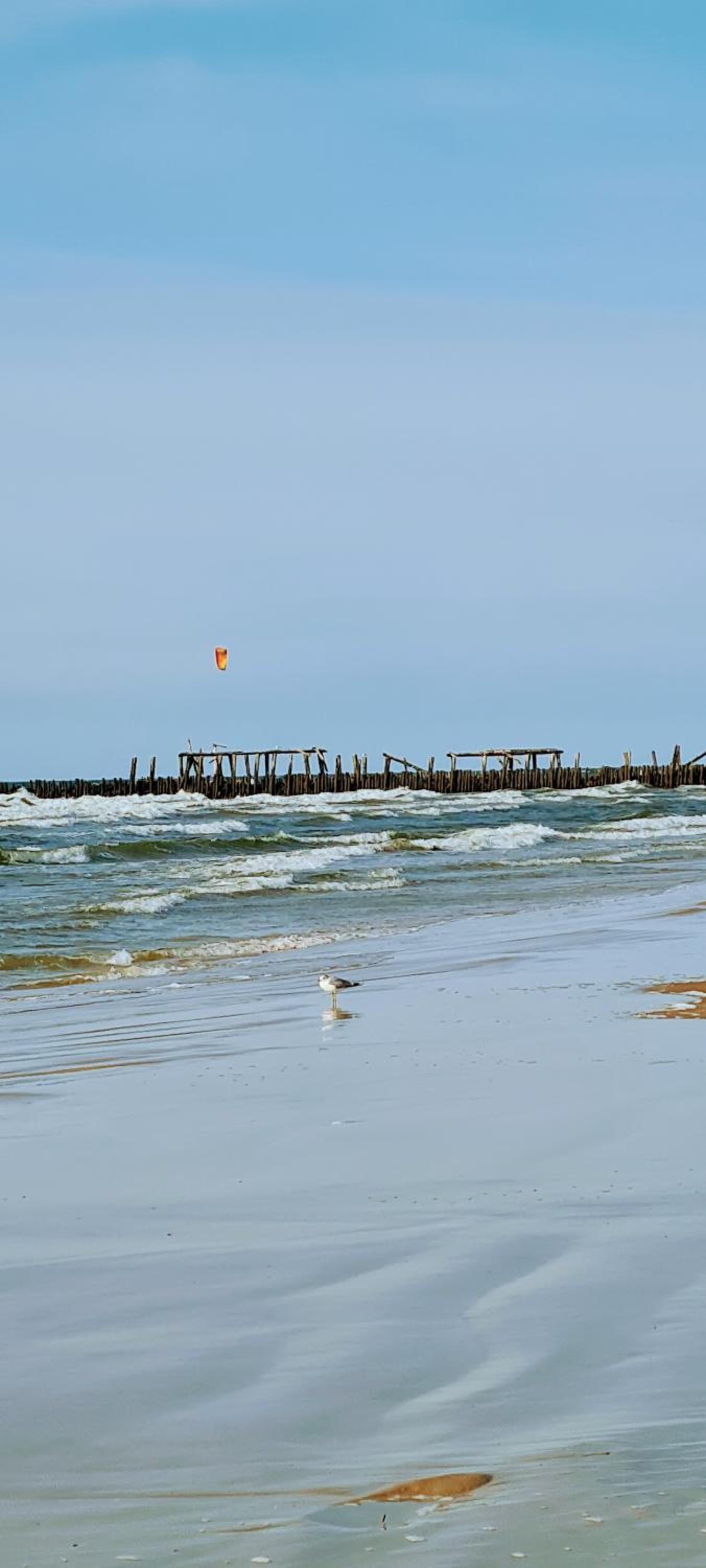 Photo 24