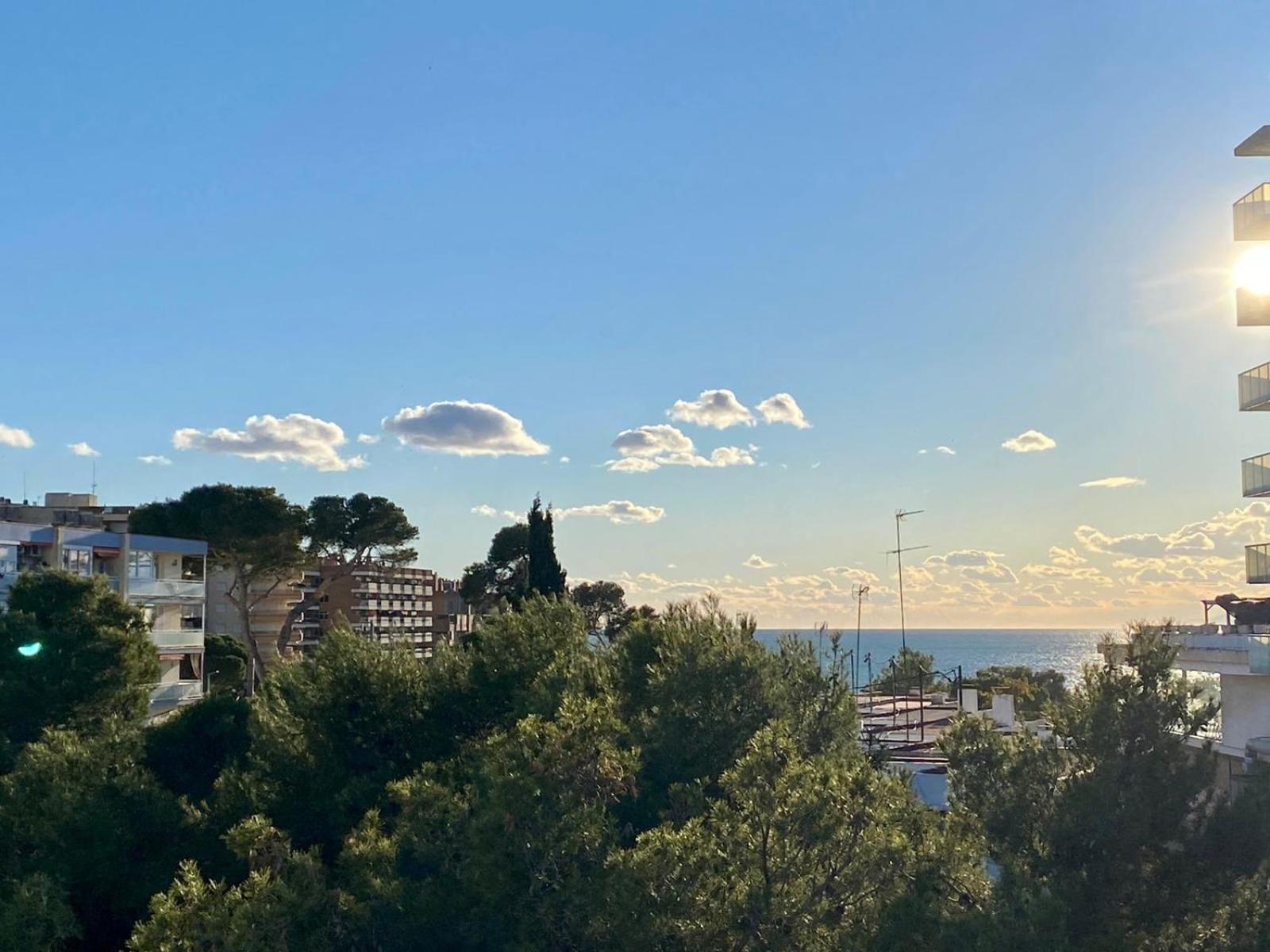 RHASIMAR SALOU CENTRO