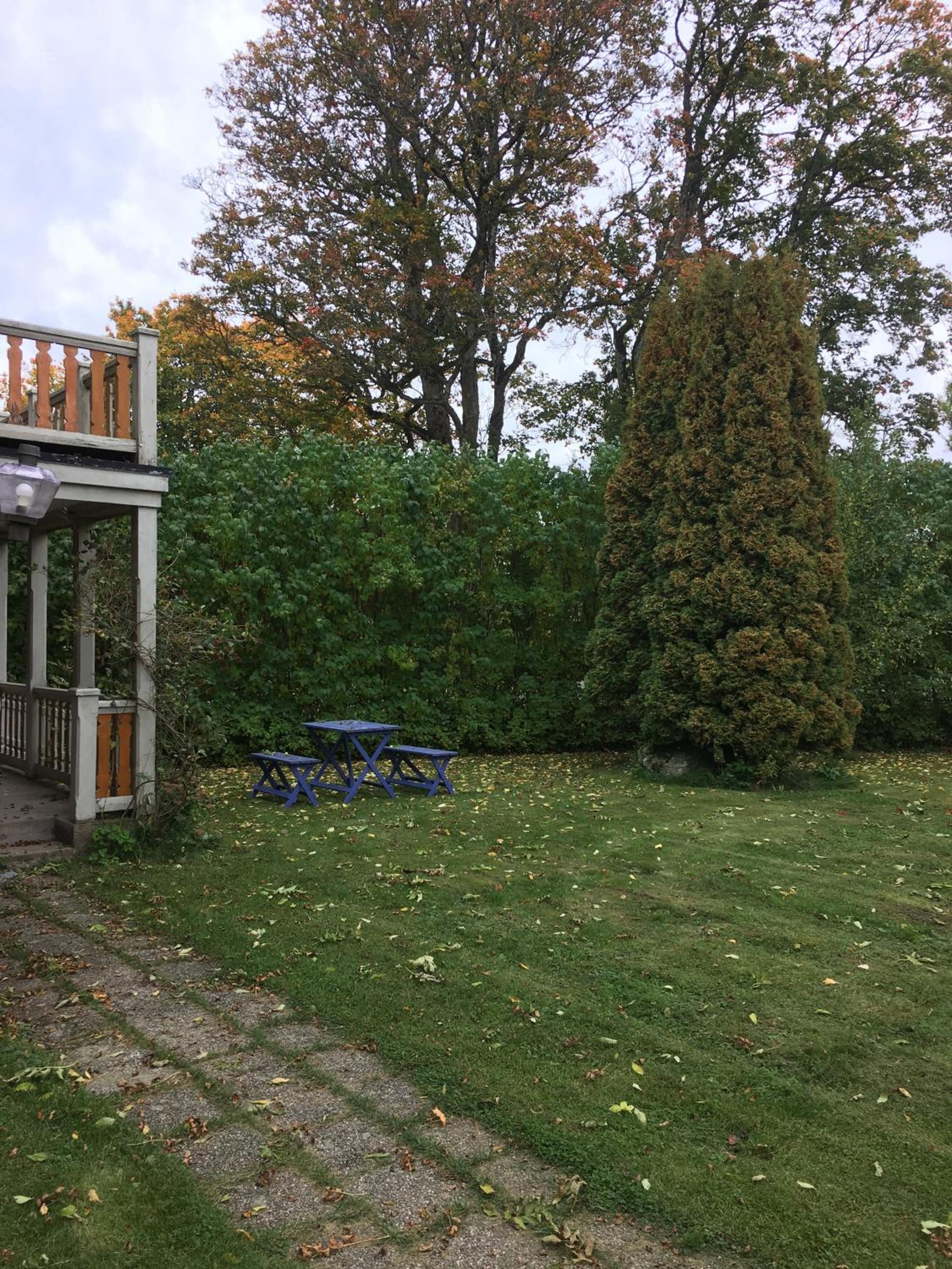 Photo 16