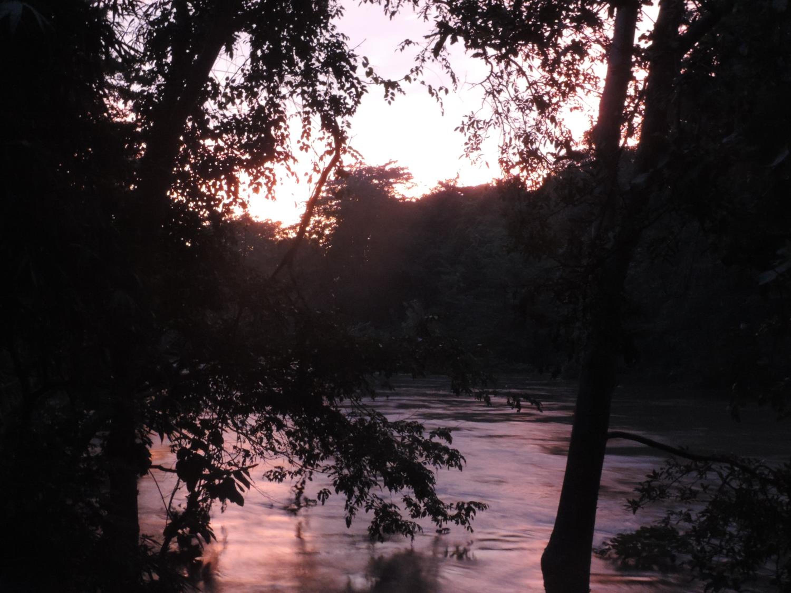 Yala River Face Inn