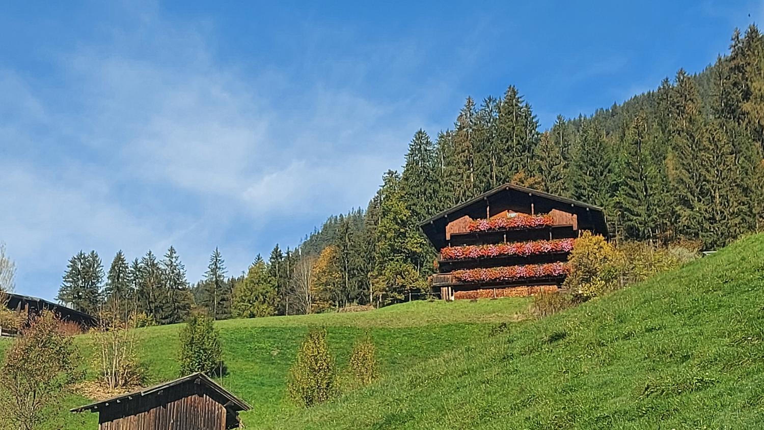 Appartements Zellner