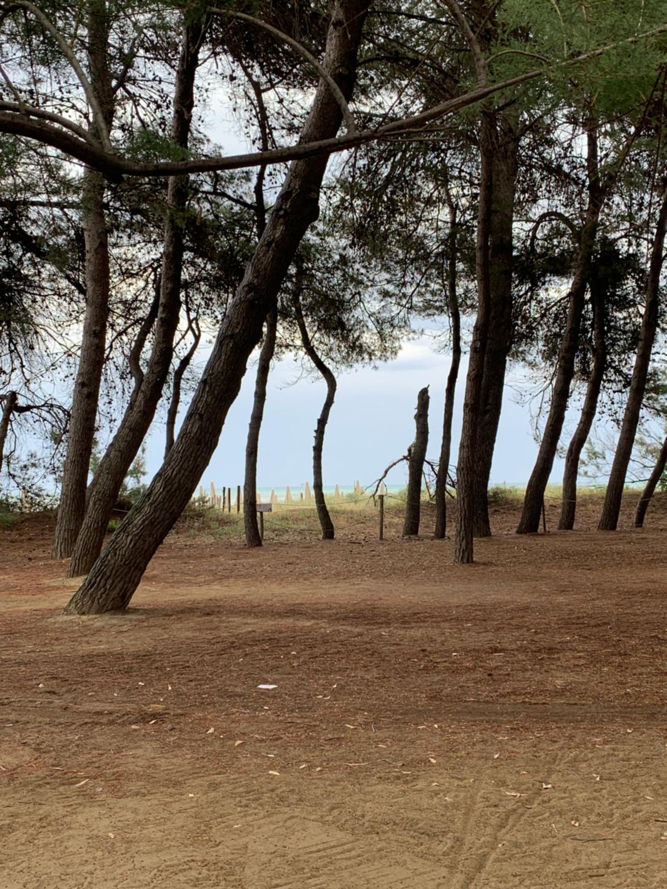 Alloggio Vista Mare - Parcheggio Gratis