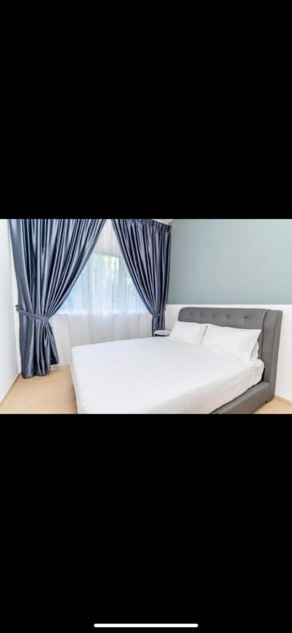 Lily Homes