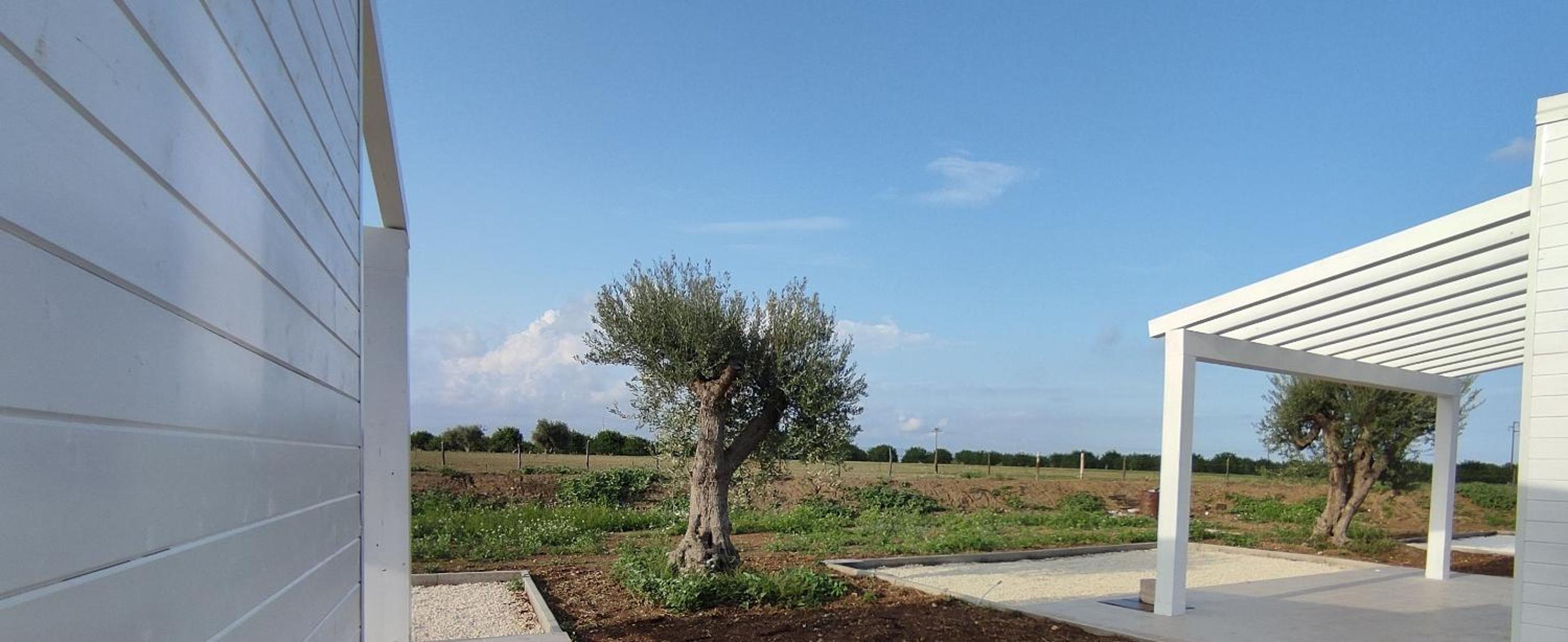 Le Zagare di Vendicari