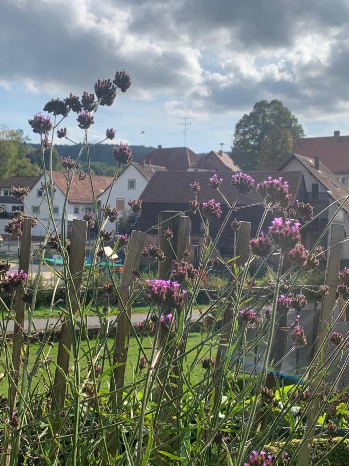 Nibelungen Odenwaldhaus