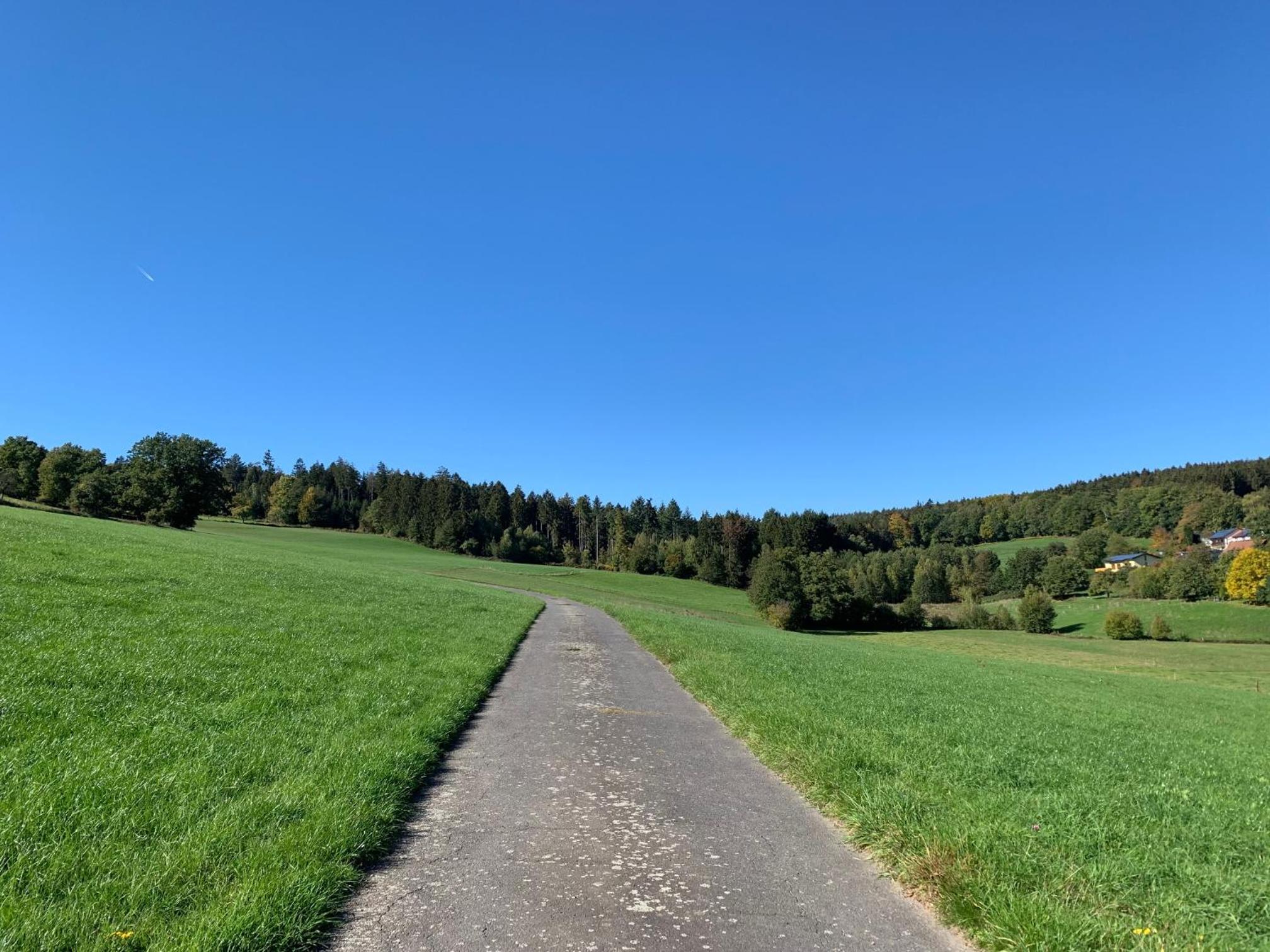 Nibelungen Odenwaldhaus