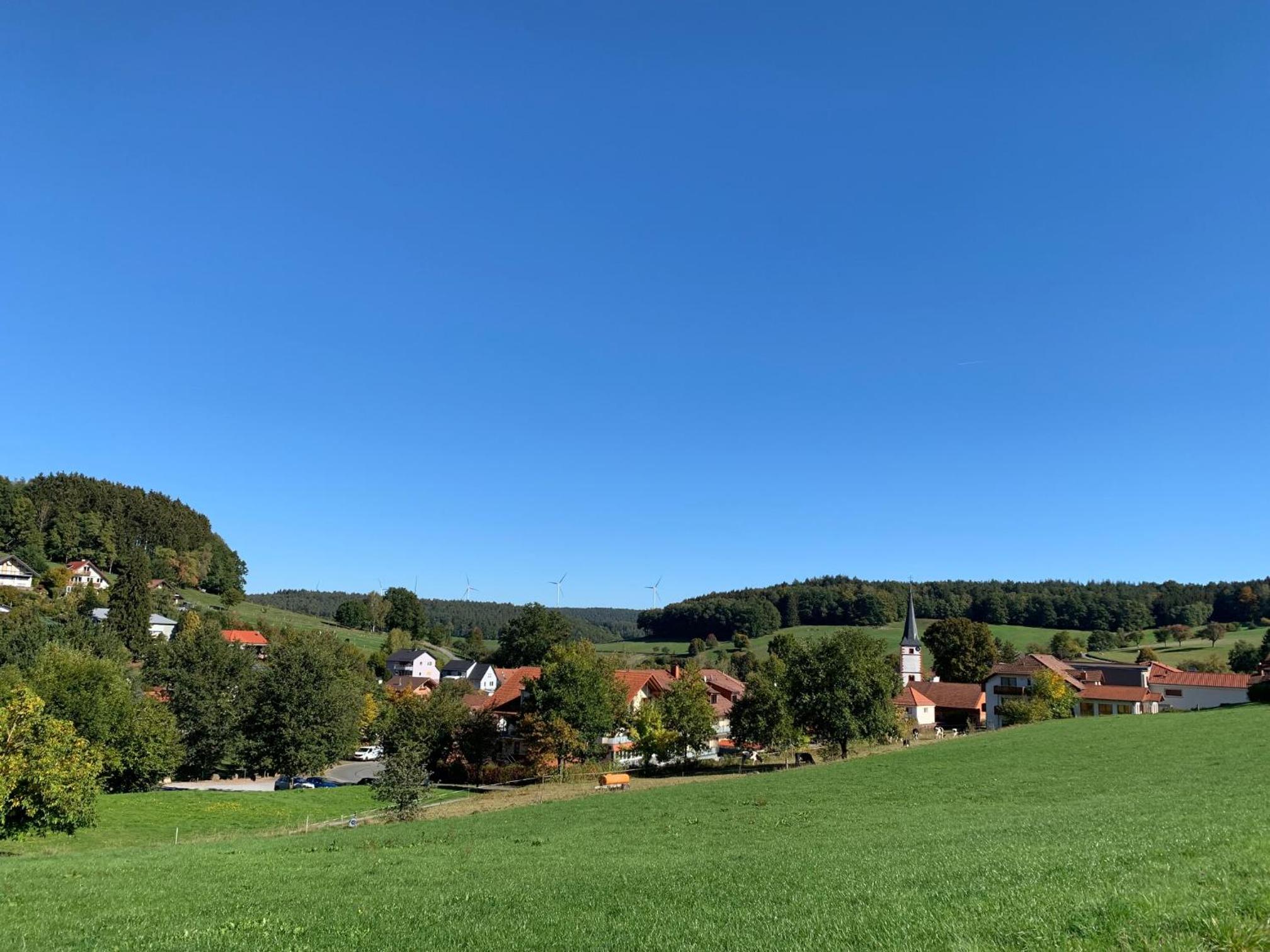 Nibelungen Odenwaldhaus