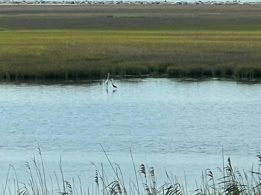 Hannah's Hideaway First row beautiful gulf views!! view 2