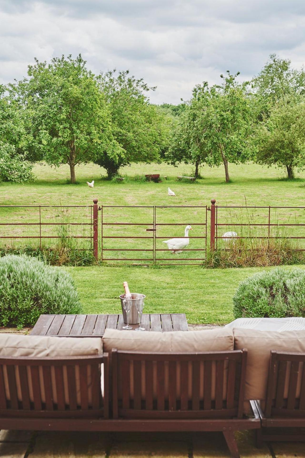 Apple Tree Cottage view 3