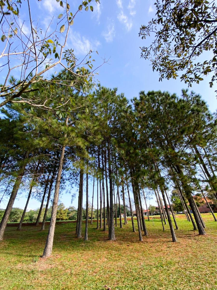 children's play area