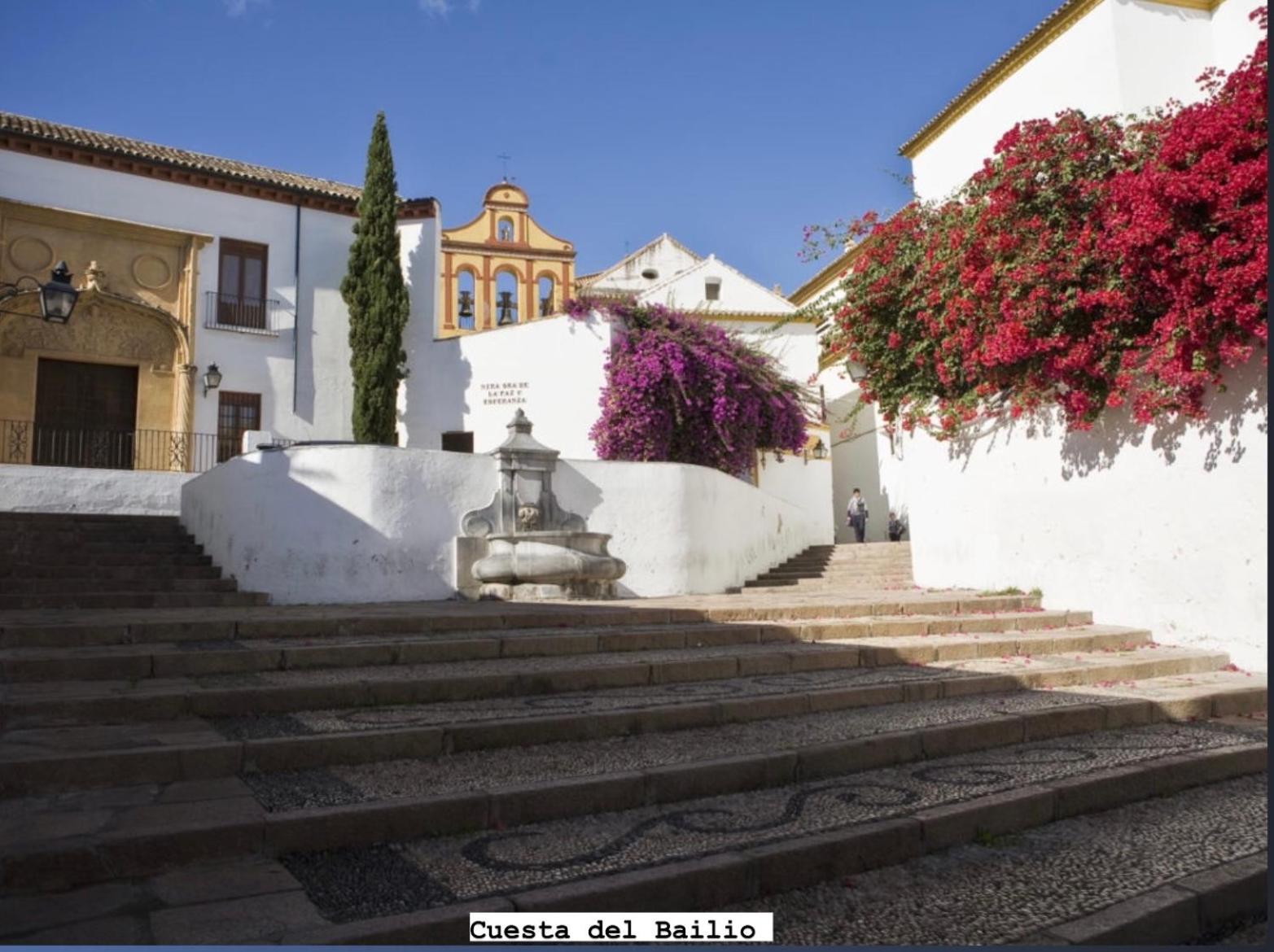 Apartamento Obispo Fitero