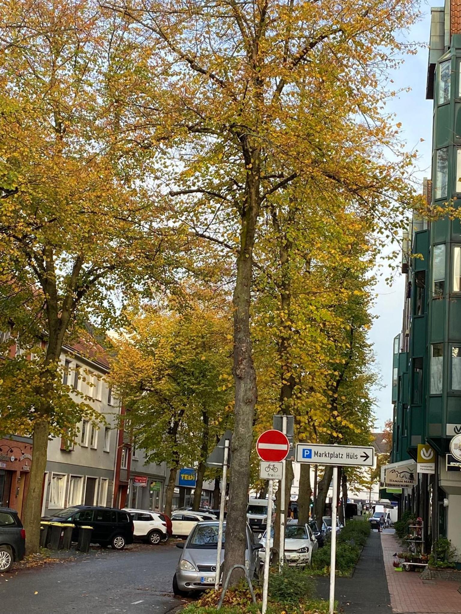 Hüls Central Apartment