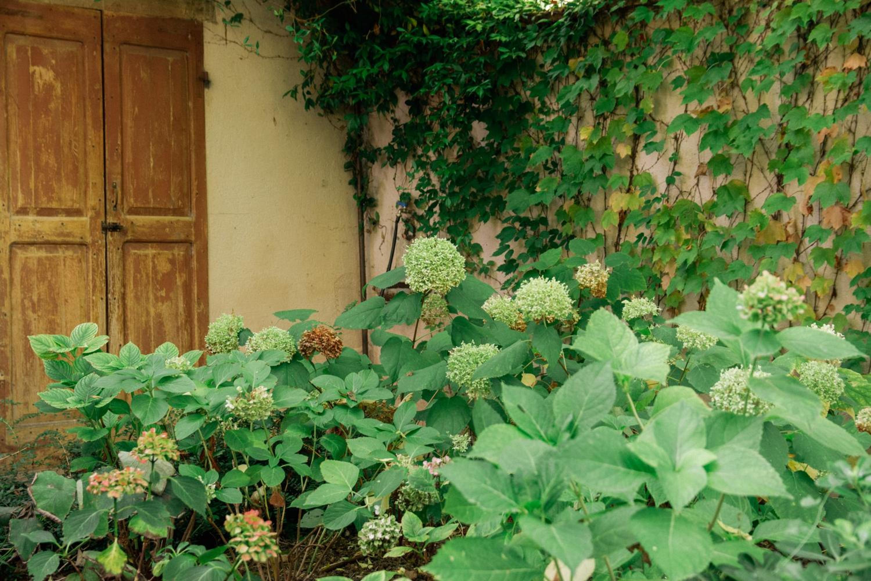 Casale Hortensia