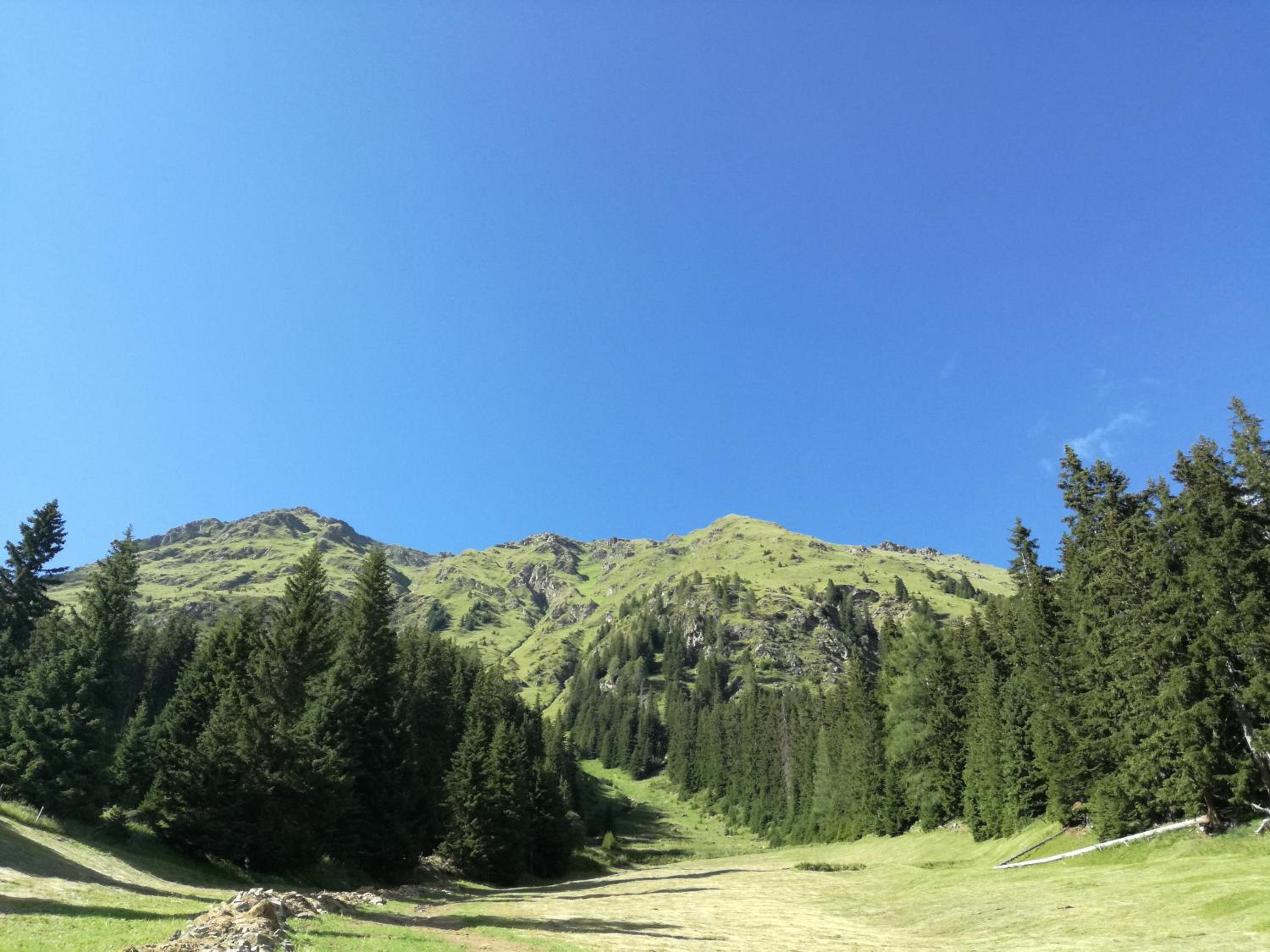 Bichlerhof