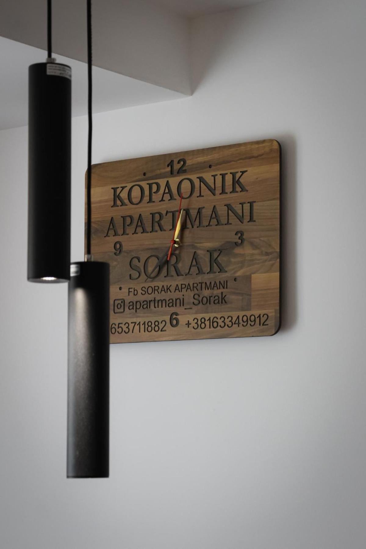 Aparmani Sorak Kopaonik, Studio Apartman A5 view 4