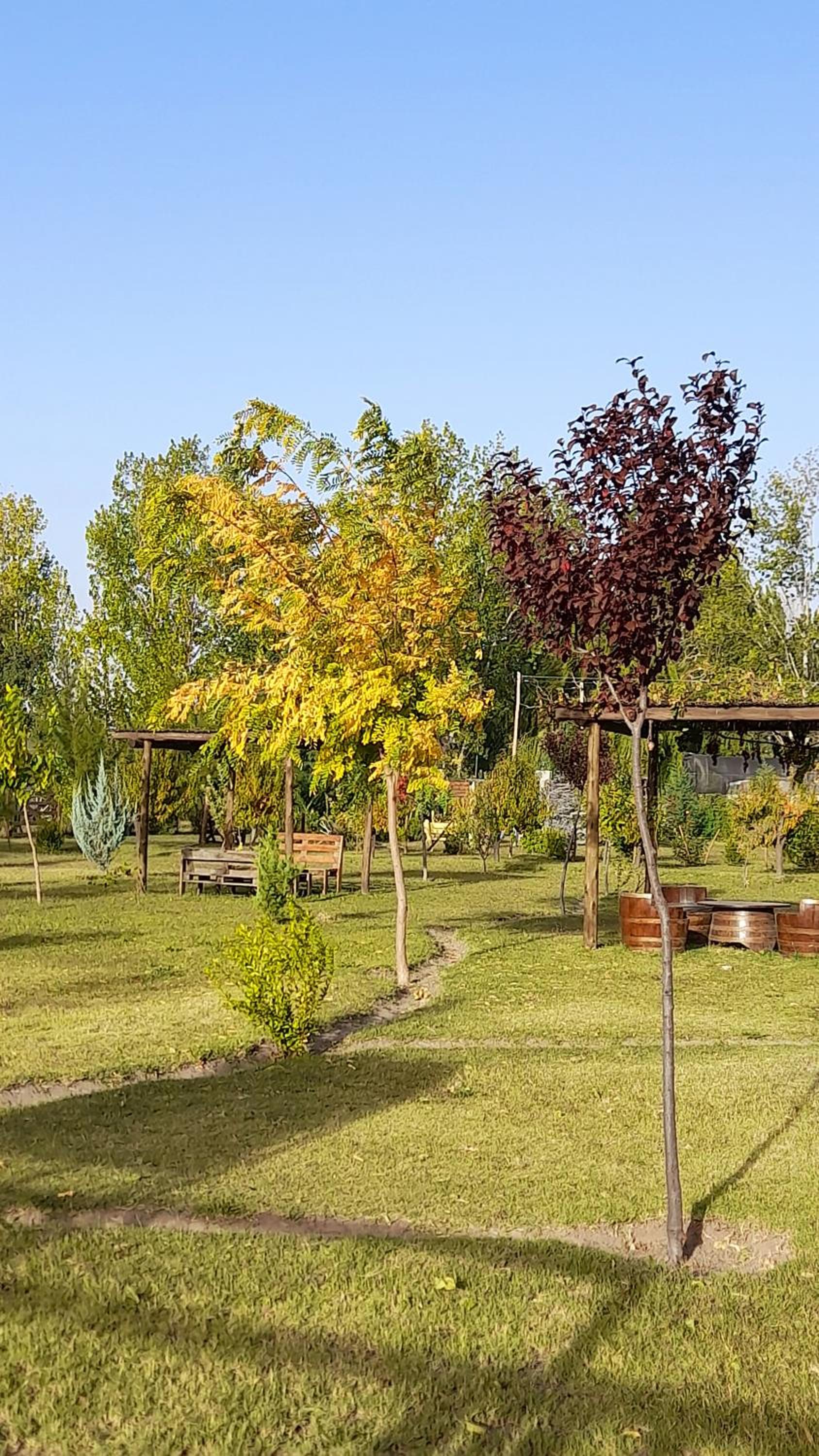 Finca el Colibrí