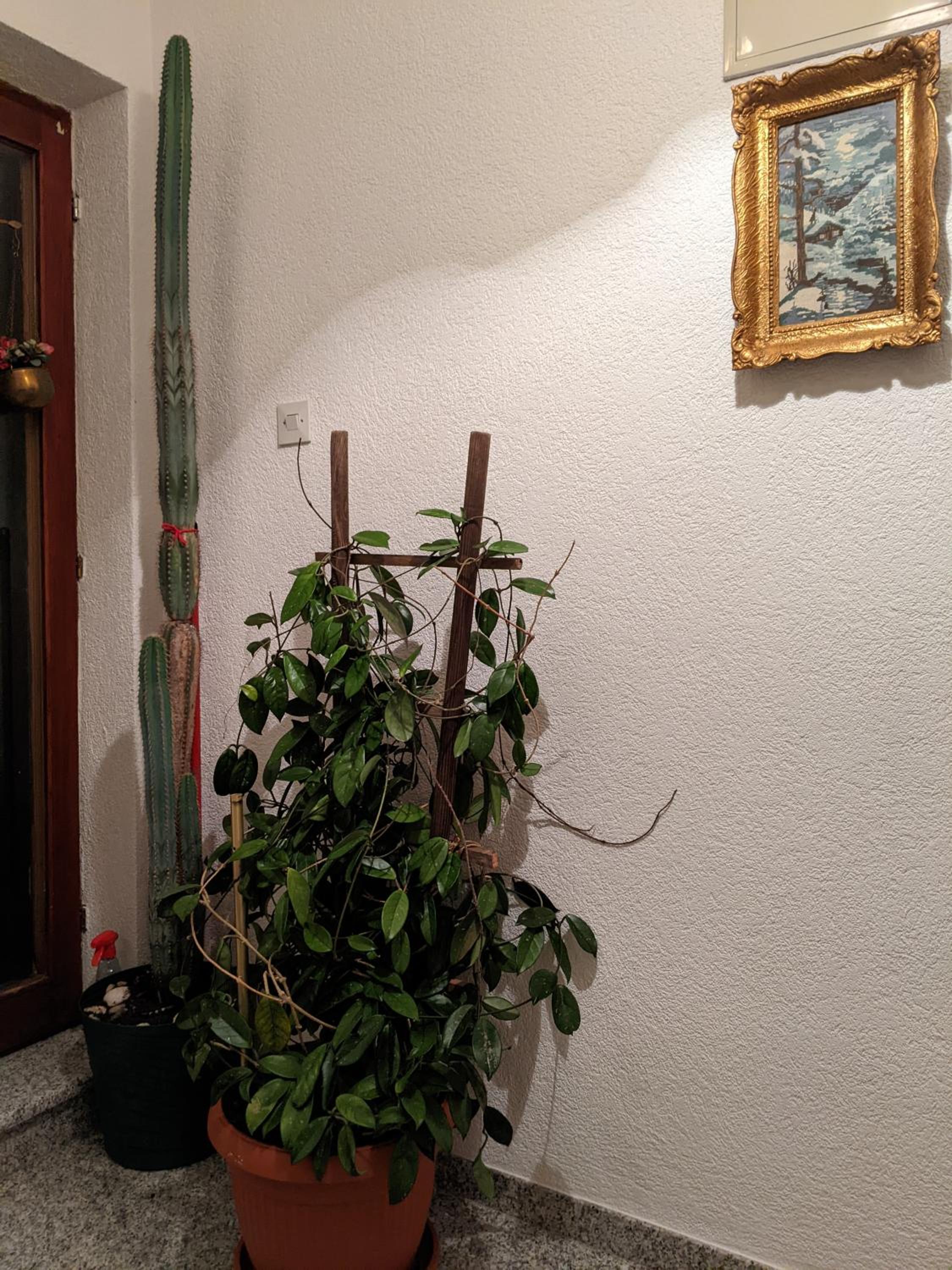 Apartmani Hrastik 2