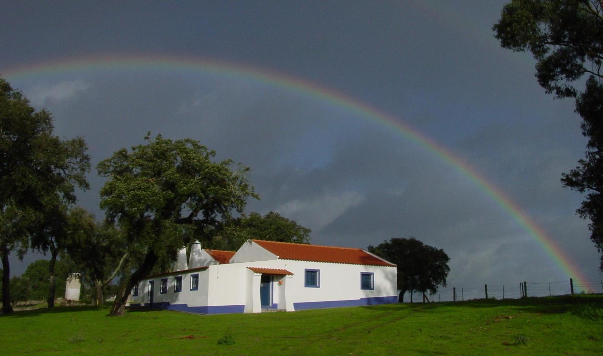 Apartamento das Bolotas.