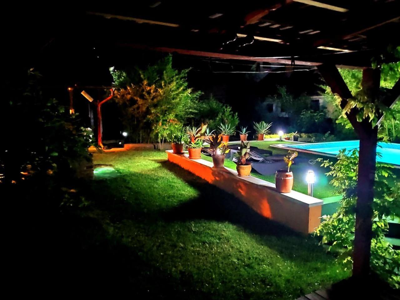 Photo 13