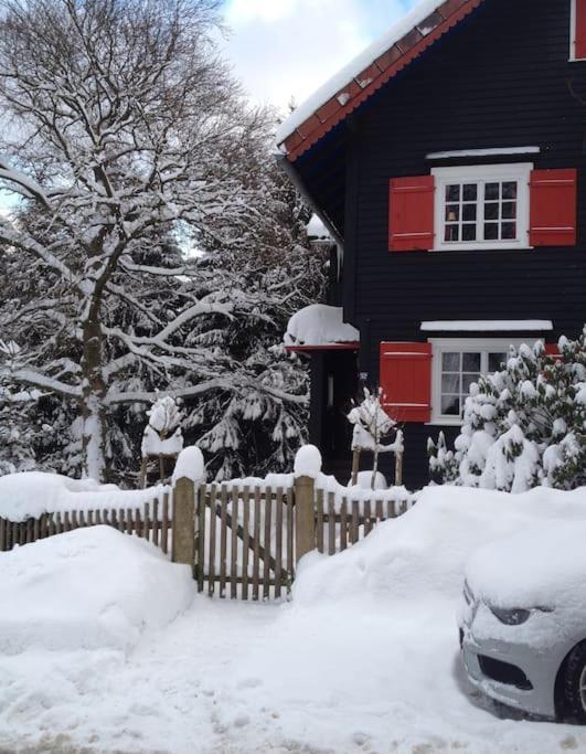 Villa Herzog - Ferienhaus für 6 Personen in Braunlage, Harz
