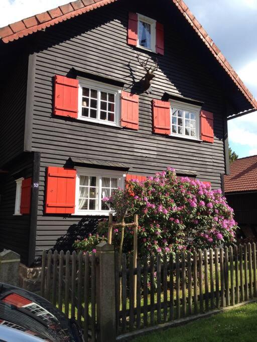 Villa Herzog - Ferienhaus für 6 Personen in Braunlage, Harz