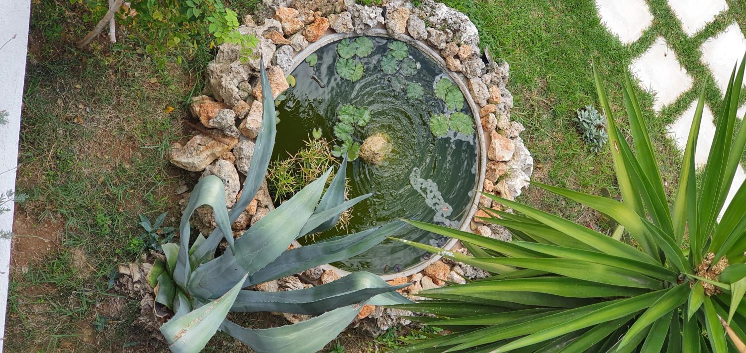 Irini Studios