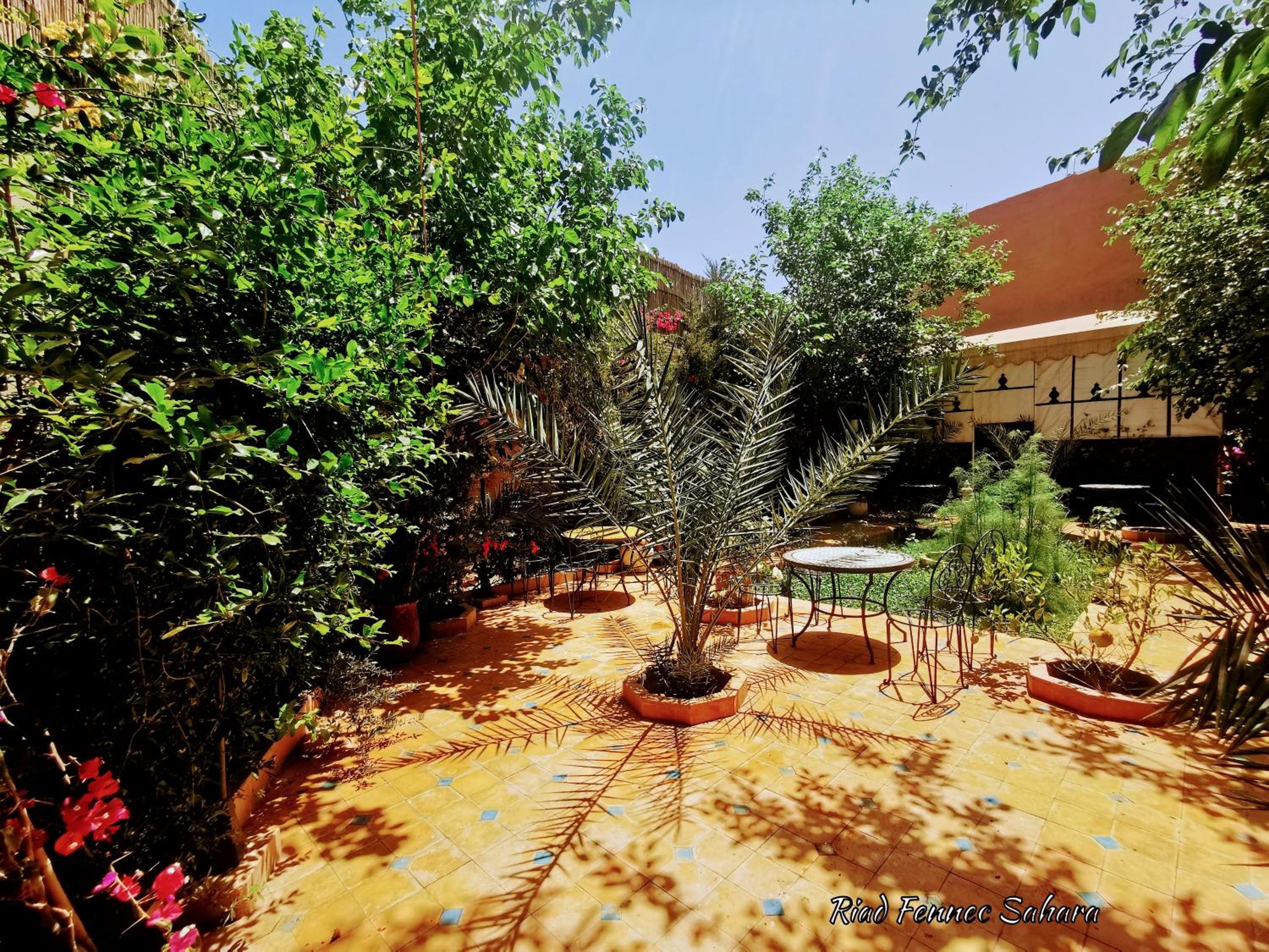Riad Fennec Sahara view 5