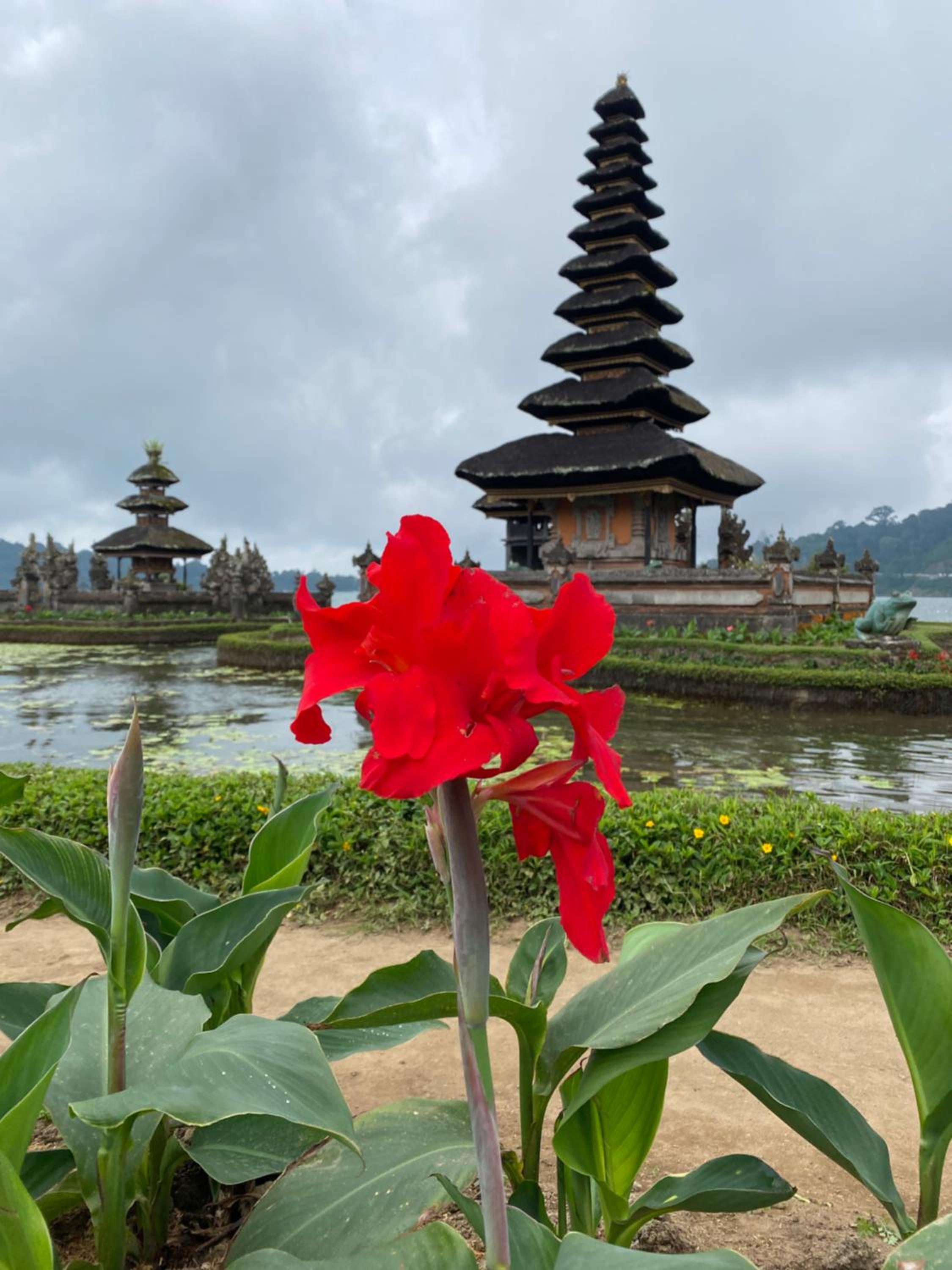 Wina Ubud B&B