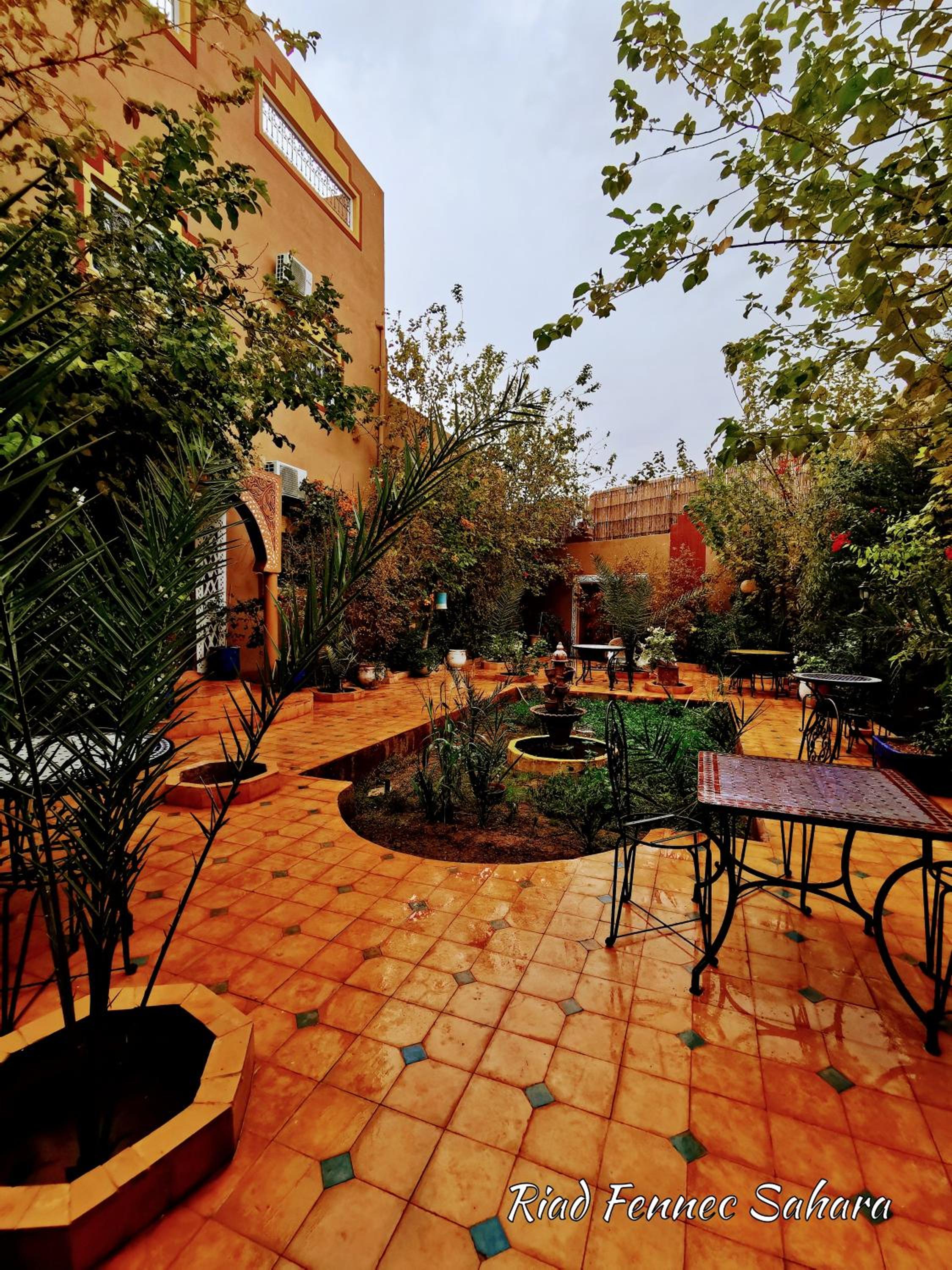 Riad Fennec Sahara view 4