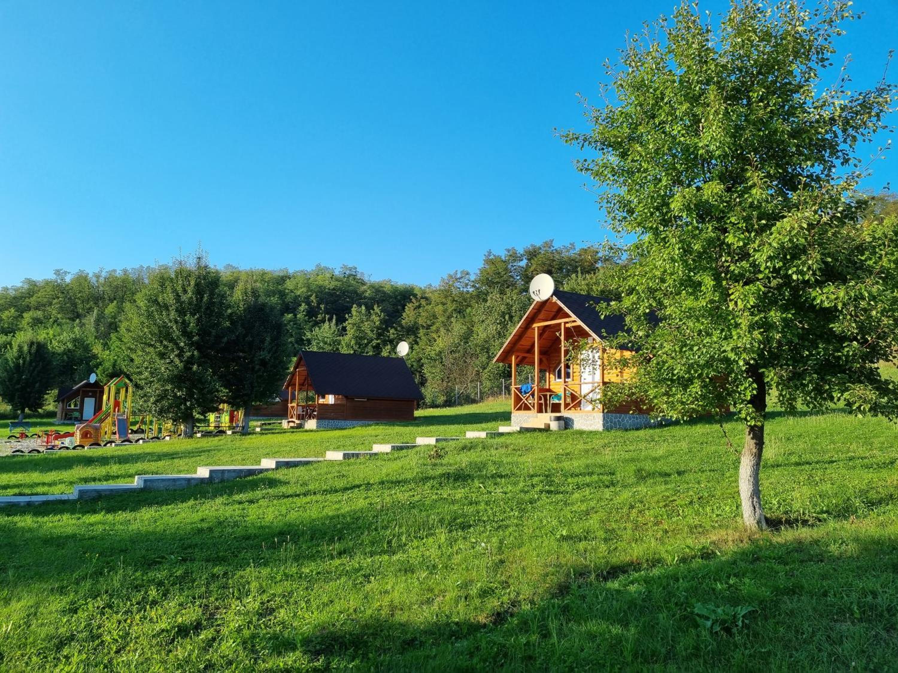 Шафран view 3
