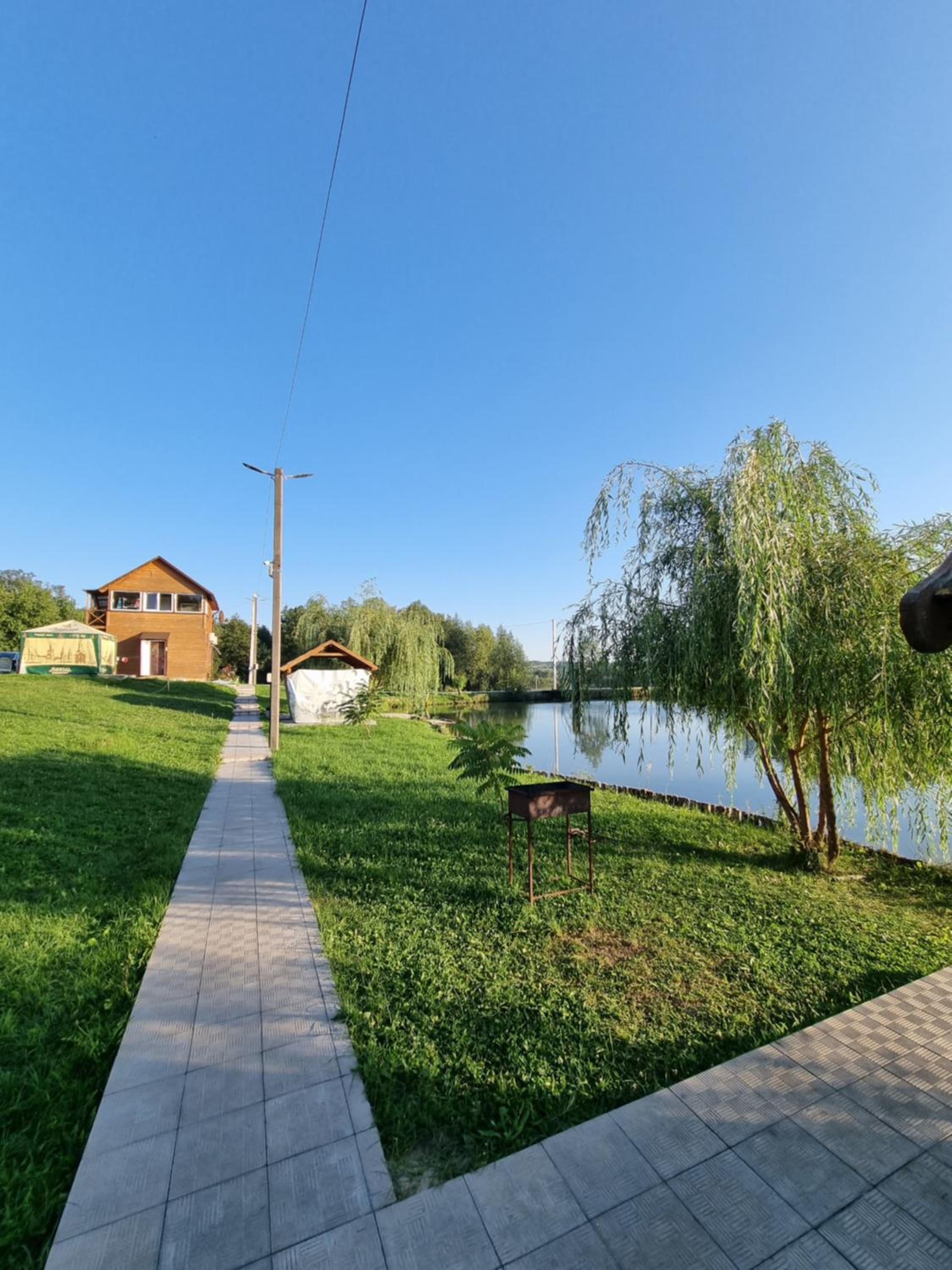 Шафран view 4