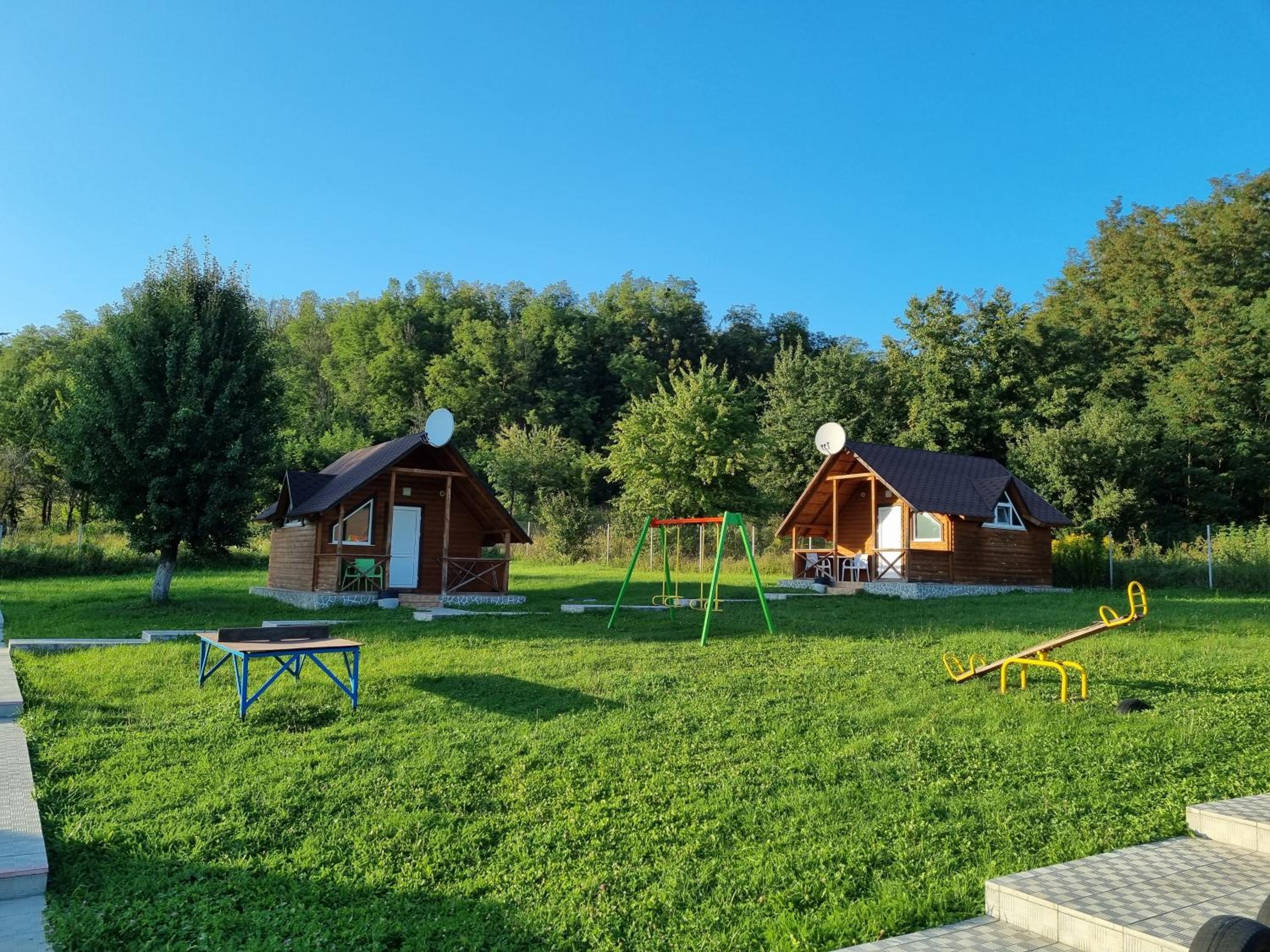 Шафран view 5