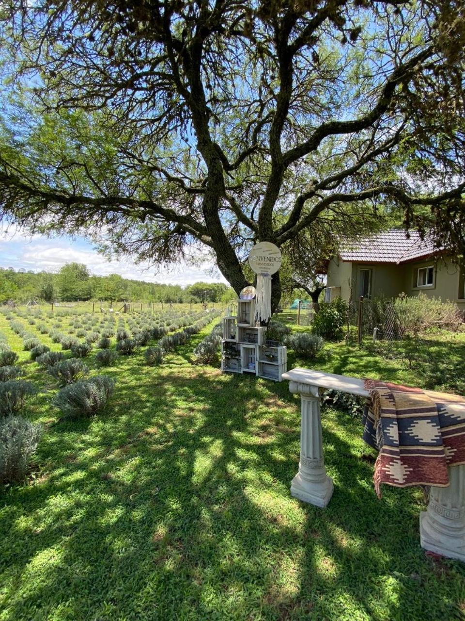 Die Lavendel Chalet