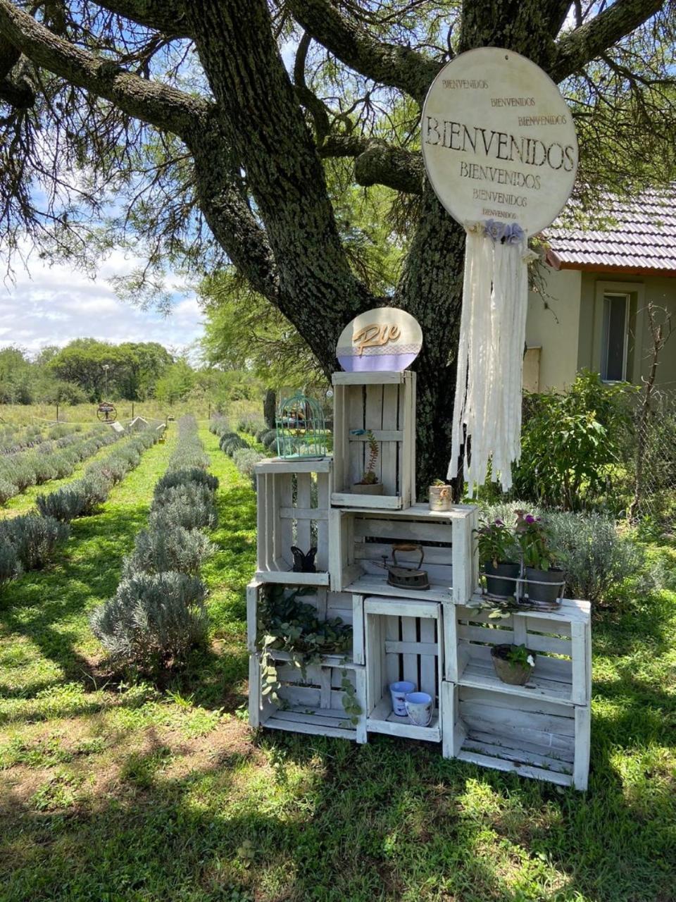 Die Lavendel Chalet