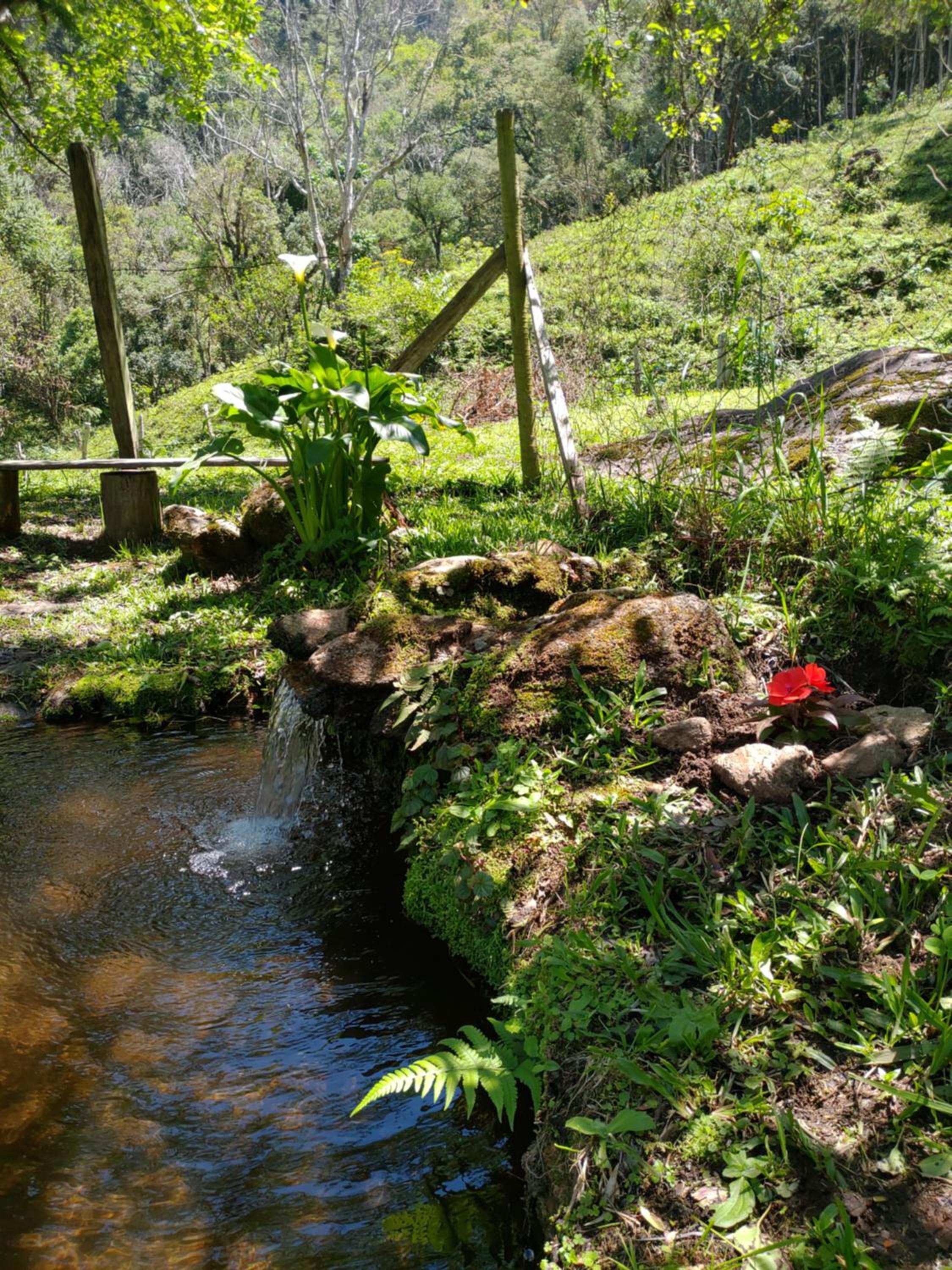 Casa Aconchegante Na Mantiqueira